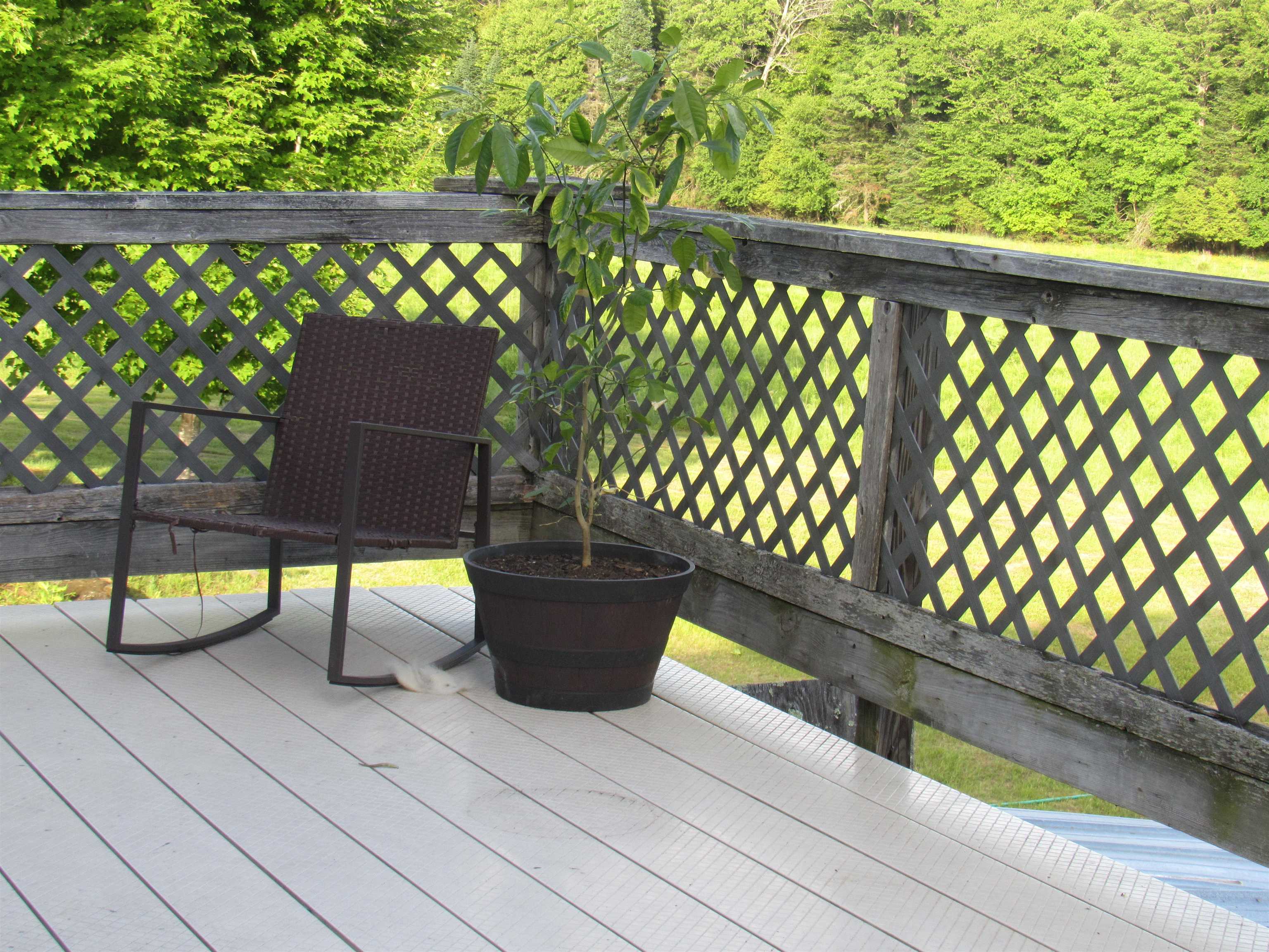 787 Dutton Brook Lane Property Photo 25