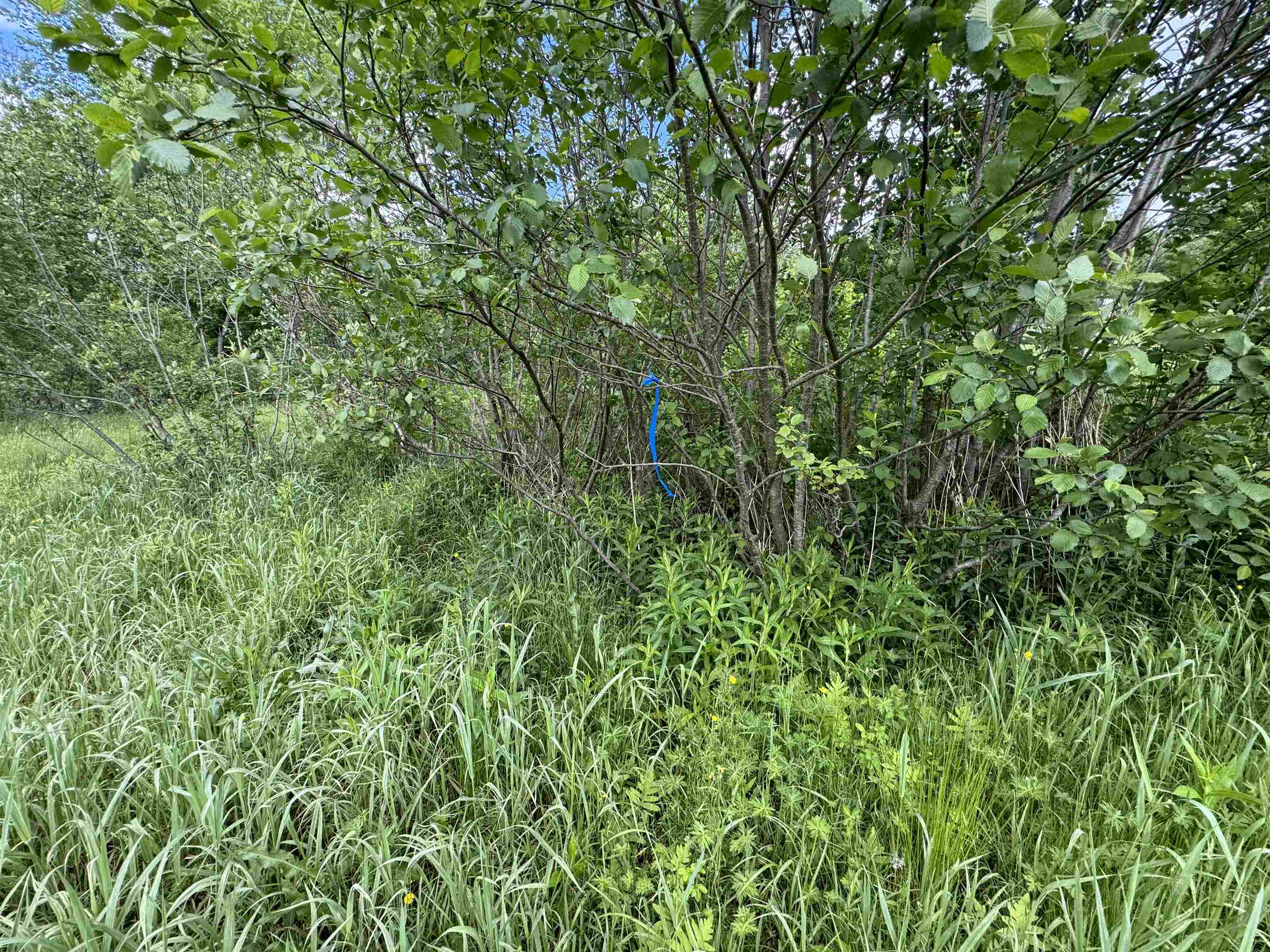 0 Happy Haven Road Property Photo 14