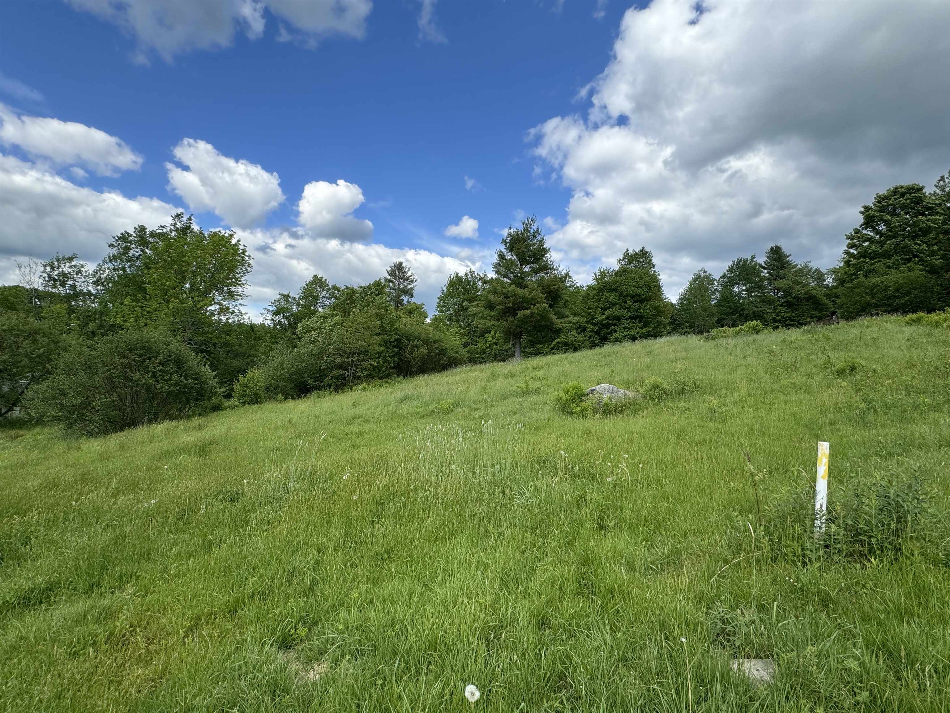 0 Happy Haven Road Property Photo 19