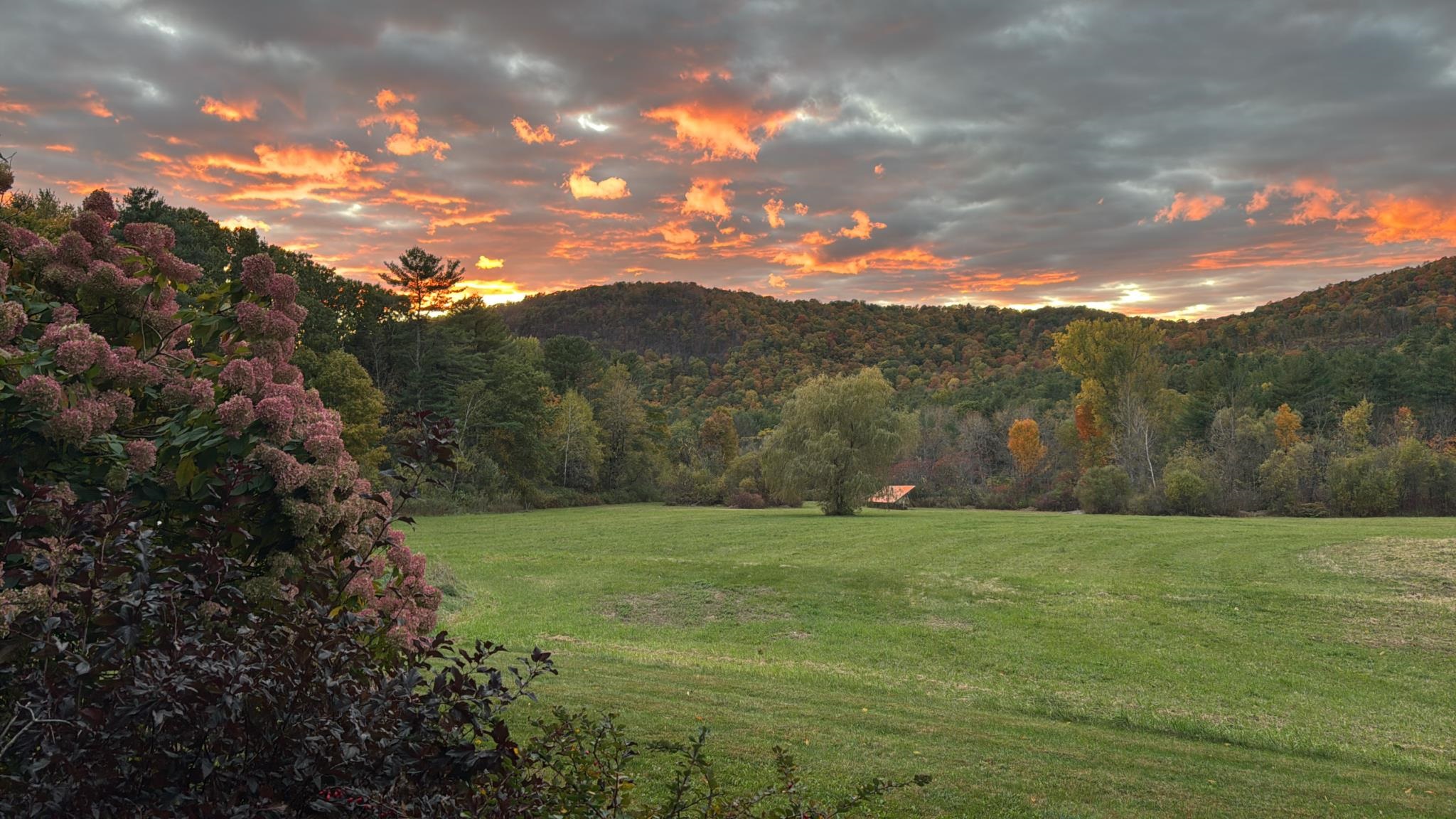 229 Piney Woods Road Property Photo 3