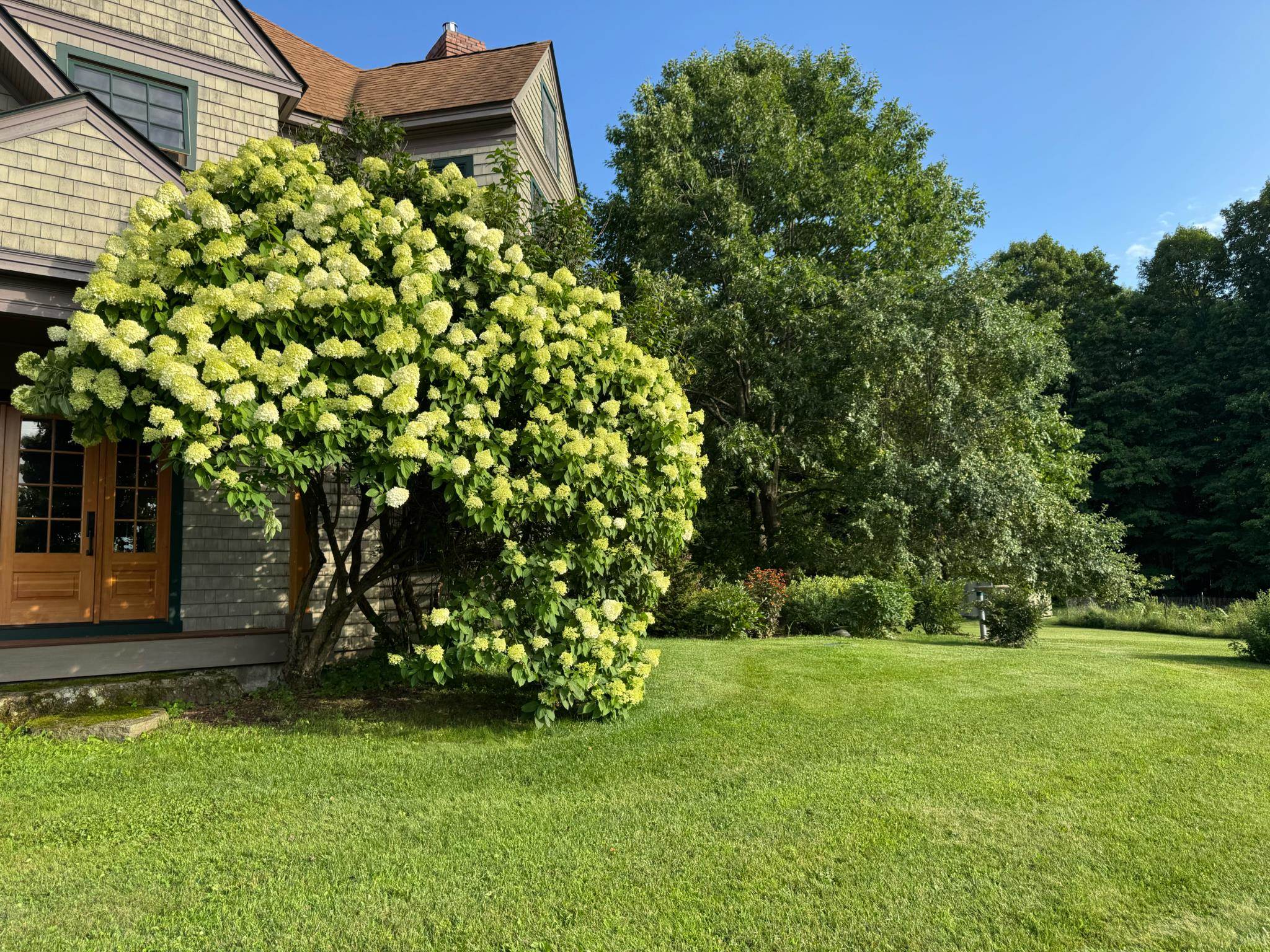 229 Piney Woods Road Property Photo 10