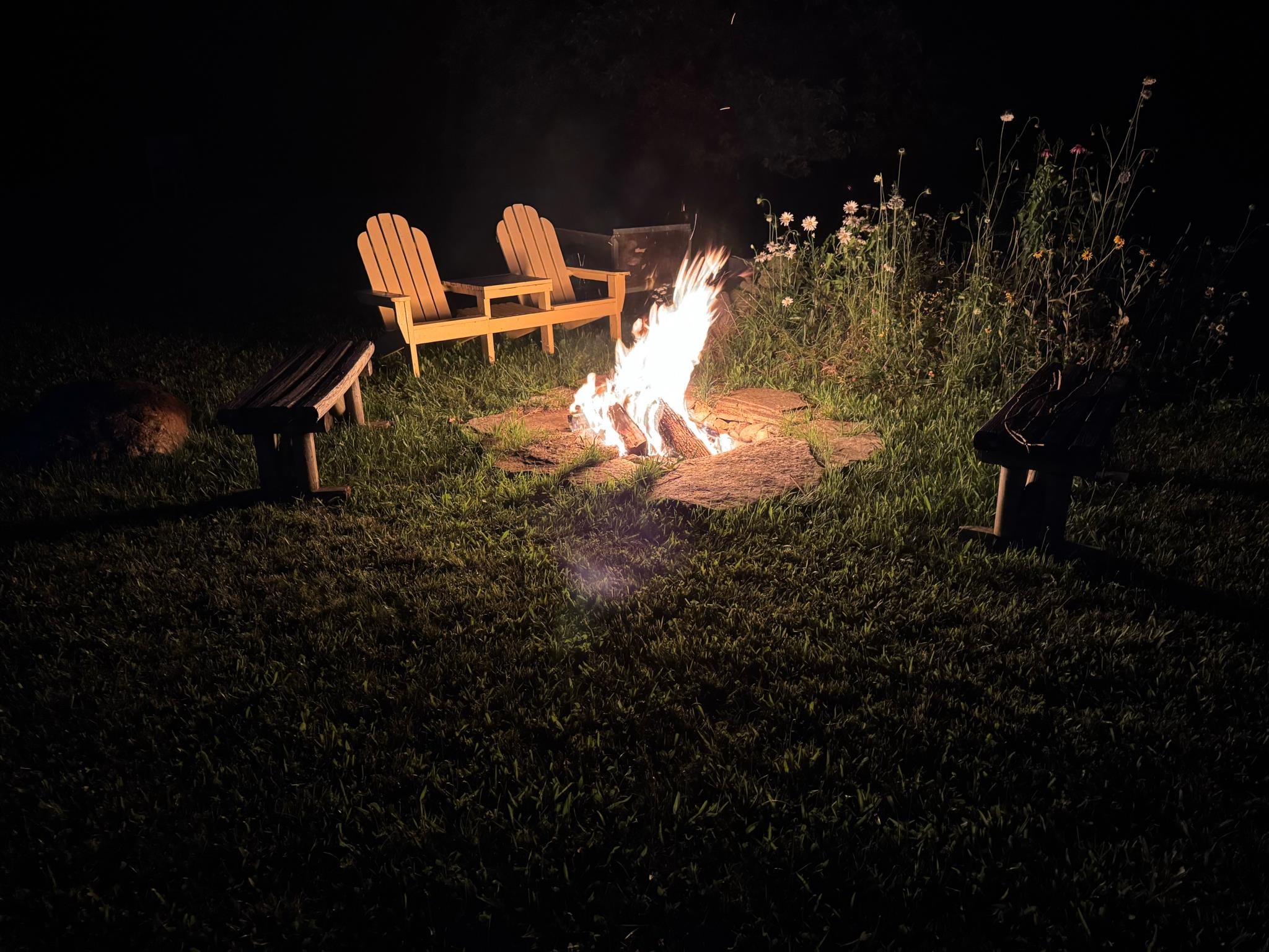 229 Piney Woods Road Property Photo 15