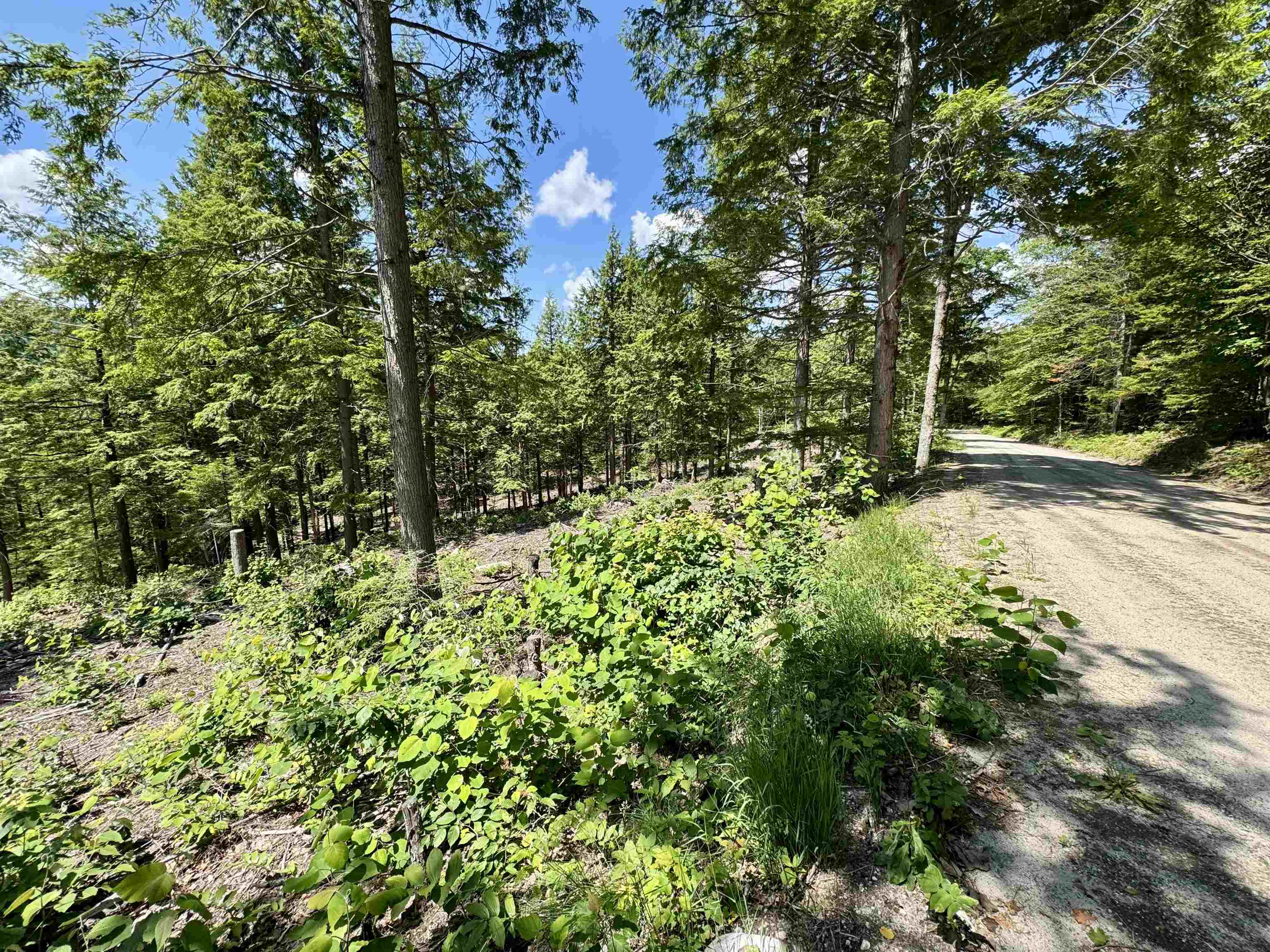 00 Annis Road Property Photo 2