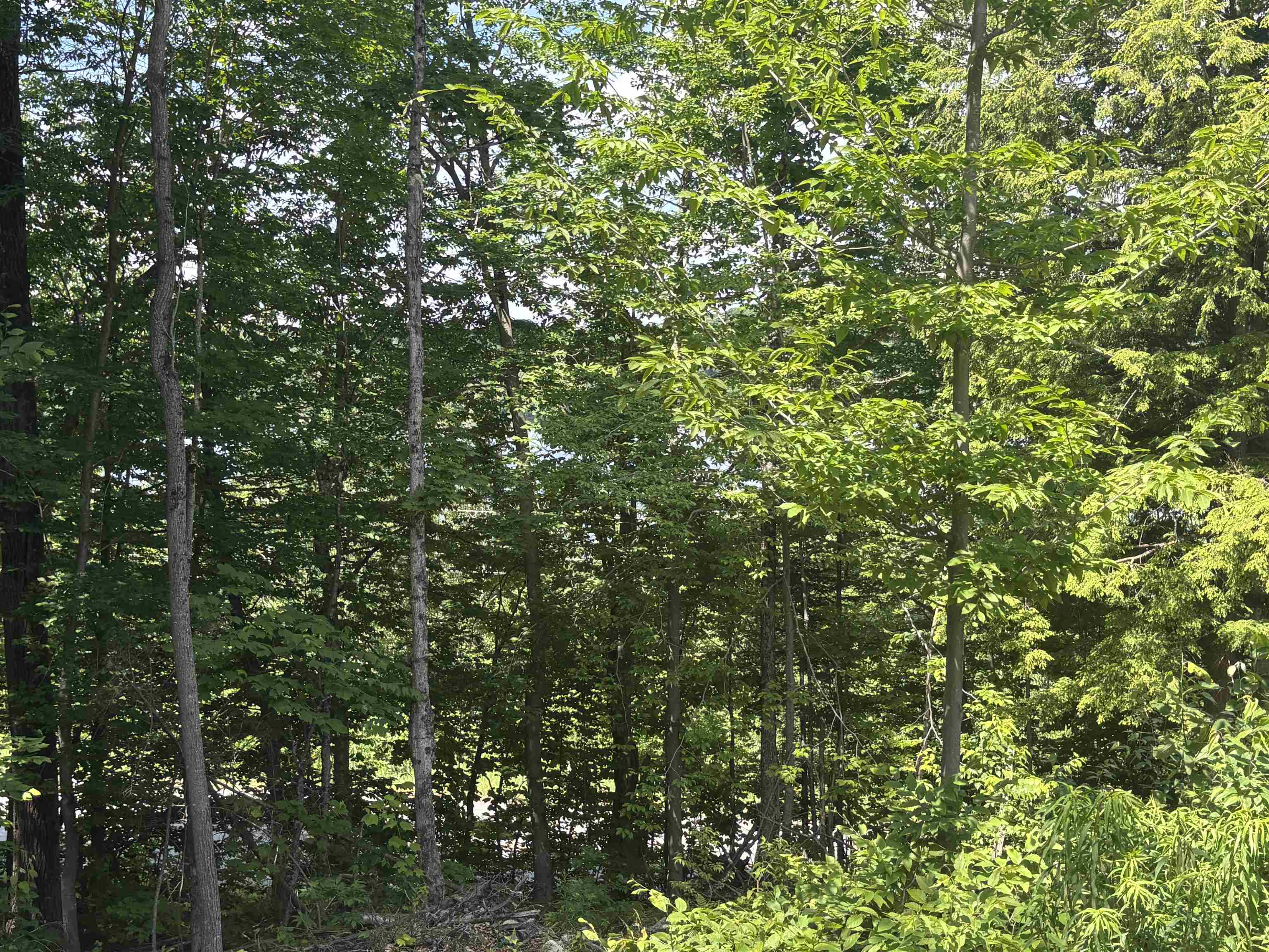 4738 Vt Route 114 Property Photo 6