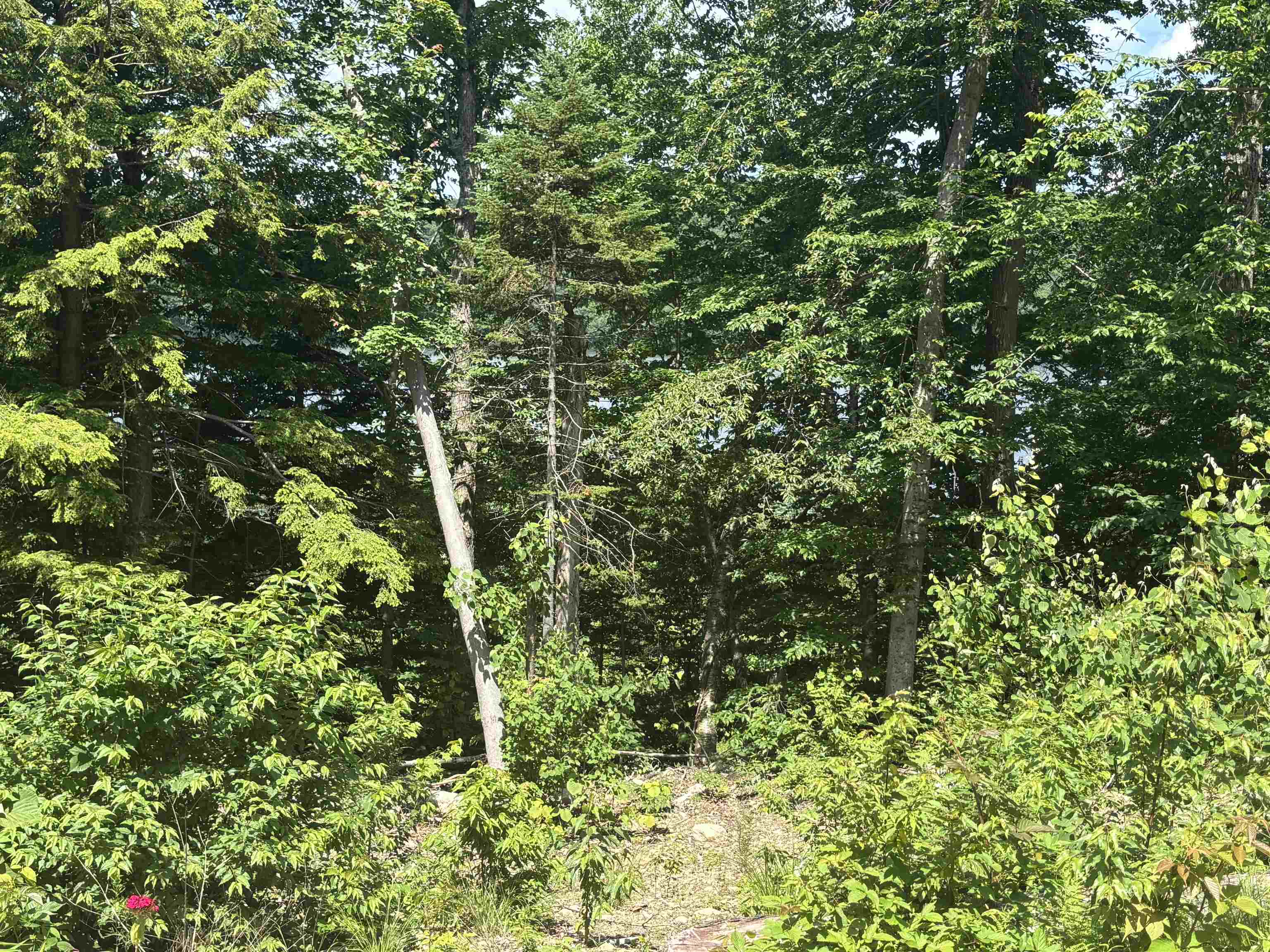 4738 Vt Route 114 Property Photo 10