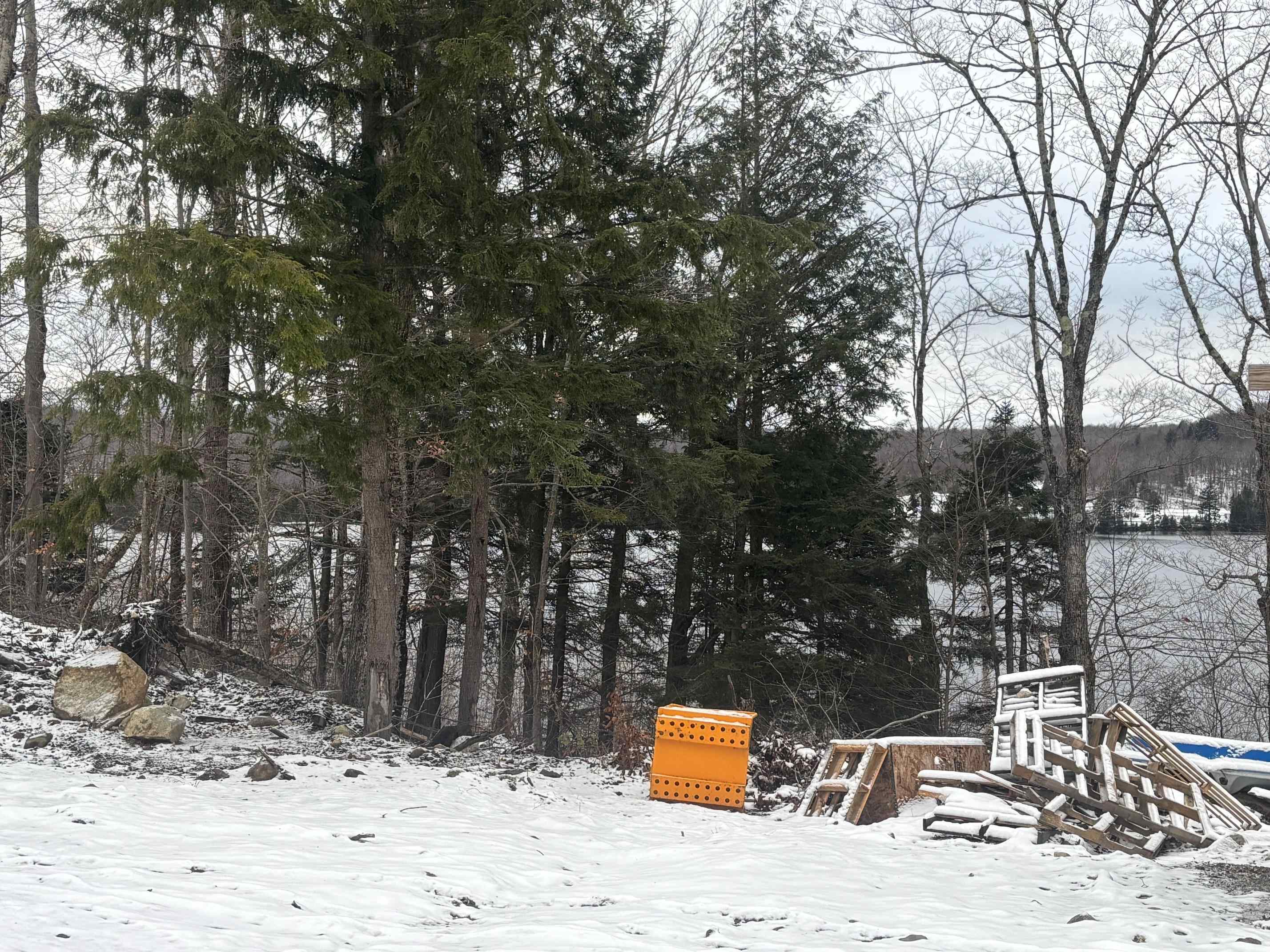 4738 Vt Route 114 Property Photo 27
