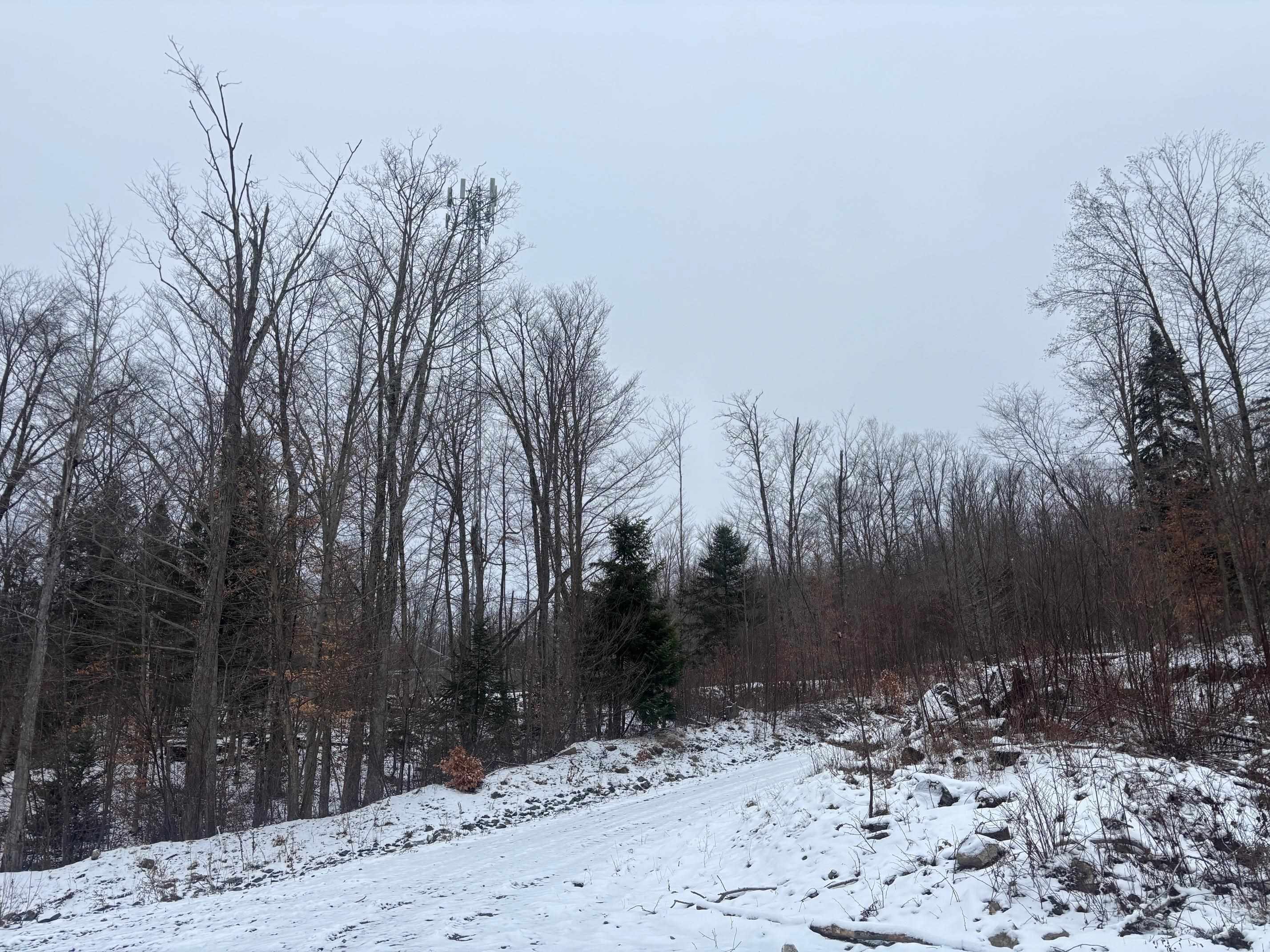 4738 Vt Route 114 Property Photo 28