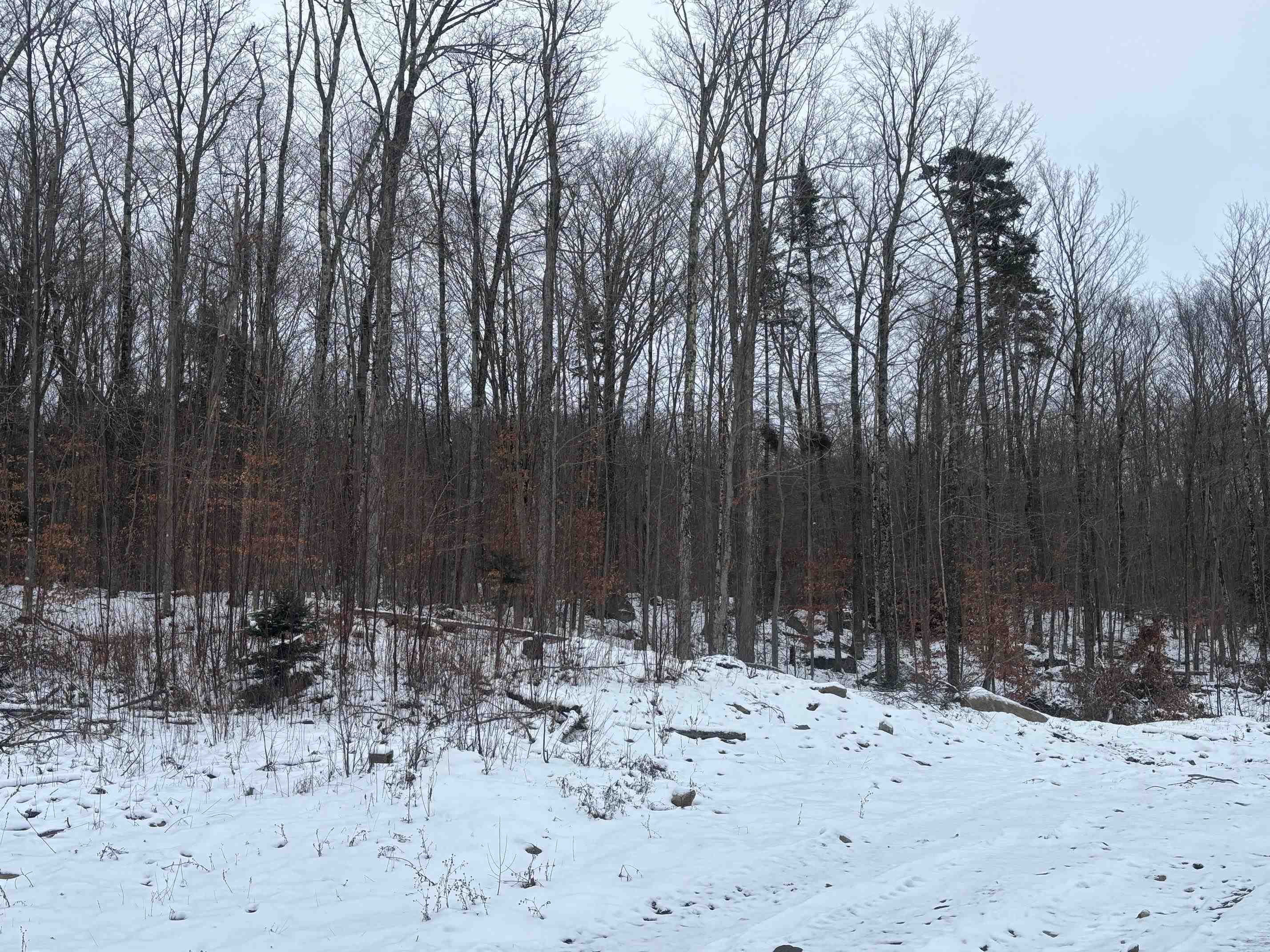 4738 Vt Route 114 Property Photo 32