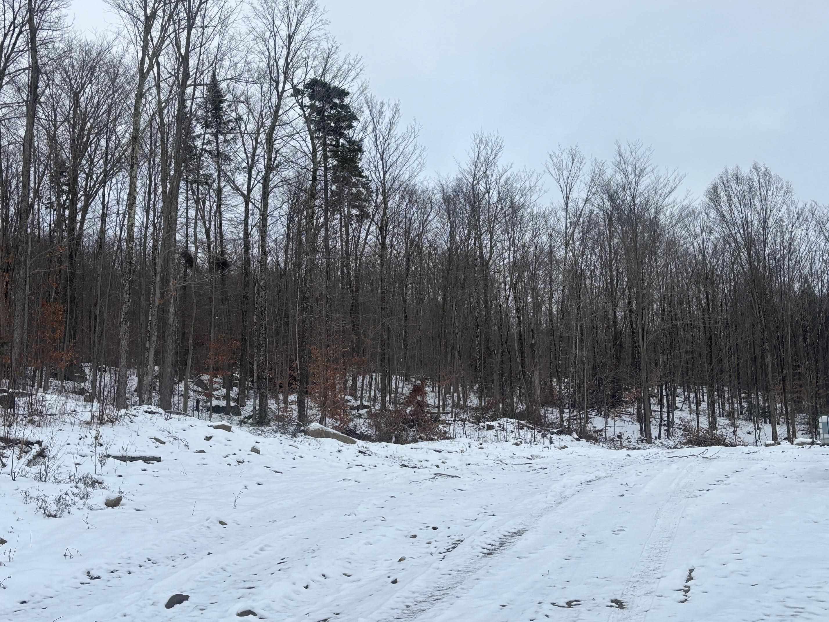 4738 Vt Route 114 Property Photo 33