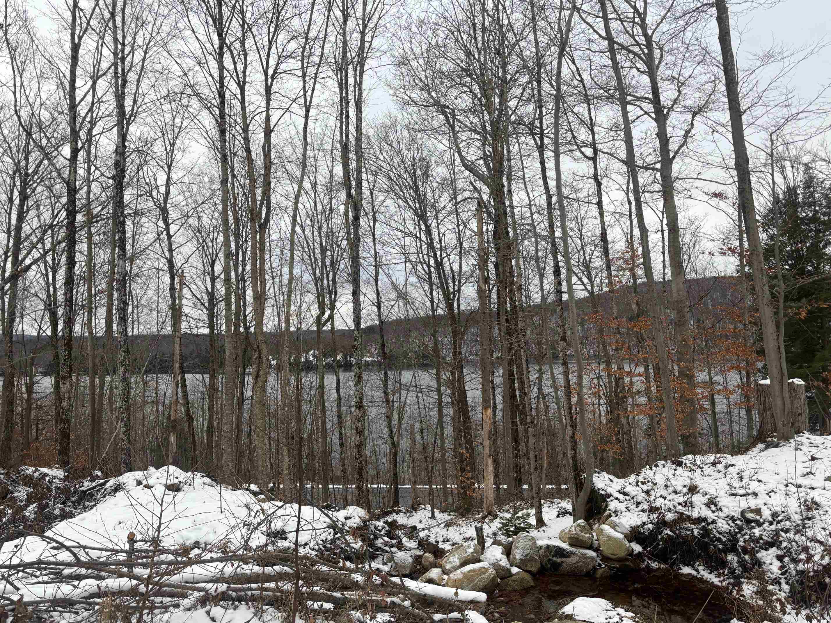 4738 Vt Route 114 Property Photo 37