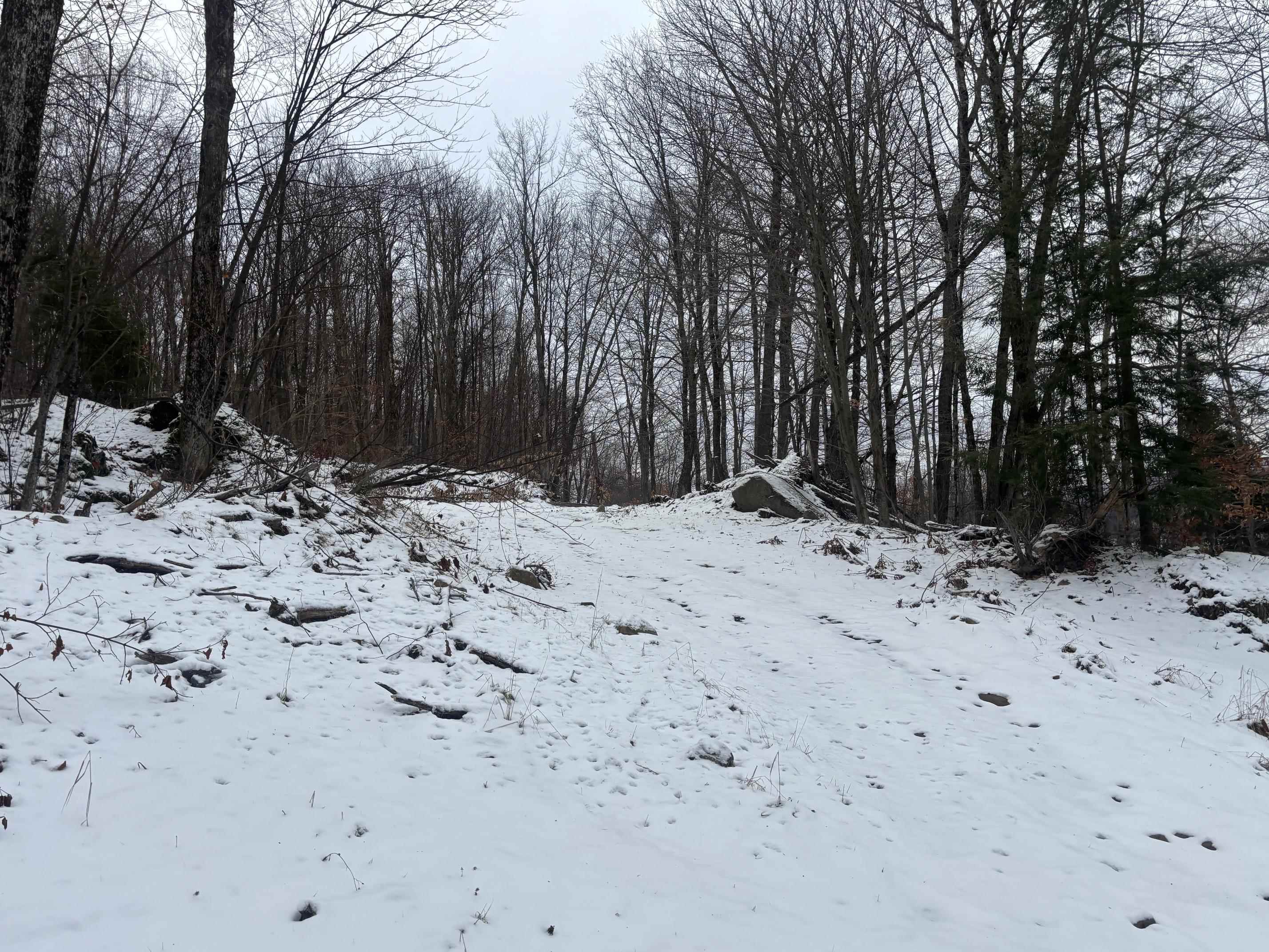 4738 Vt Route 114 Property Photo 38