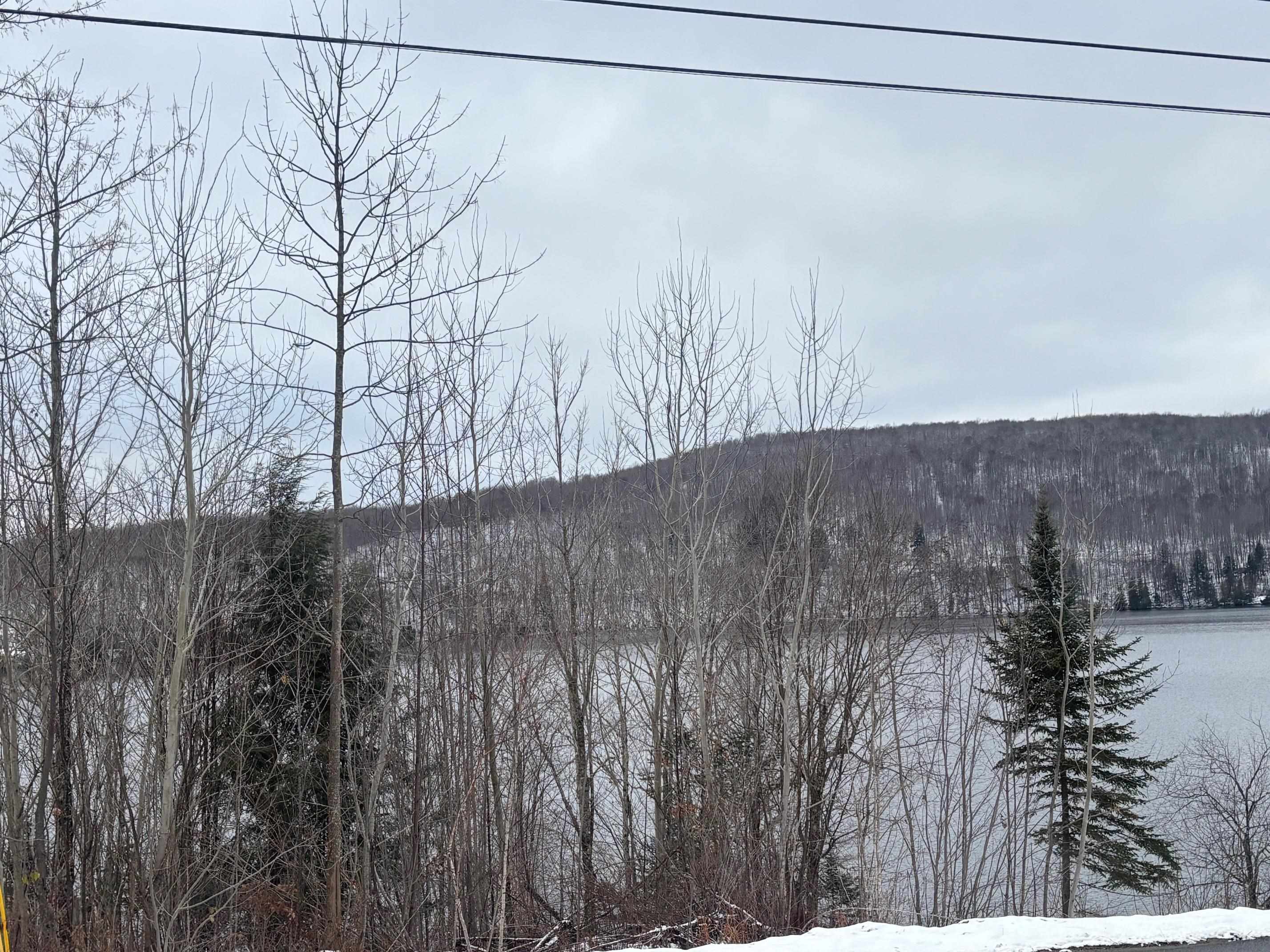 4738 Vt Route 114 Property Photo 39