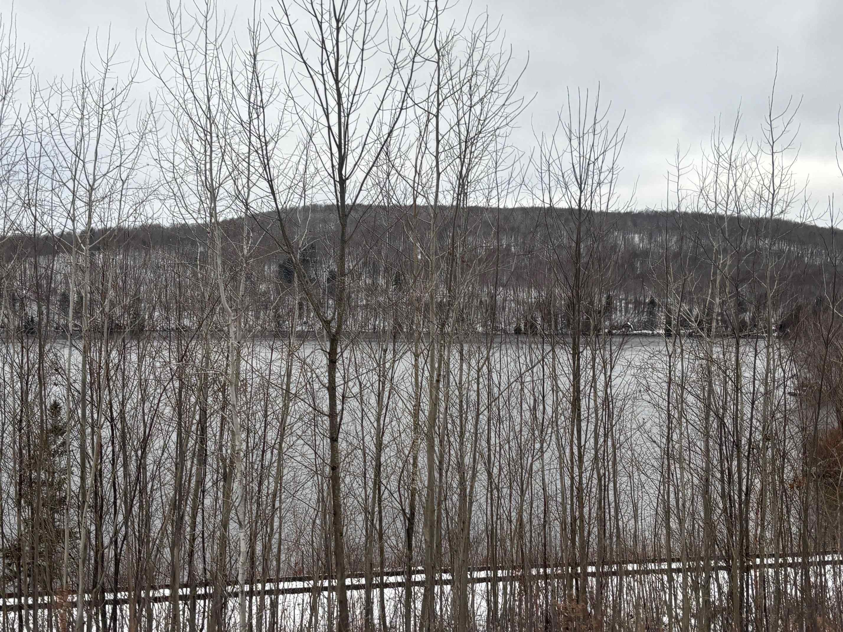 4738 Vt Route 114 Property Photo 43