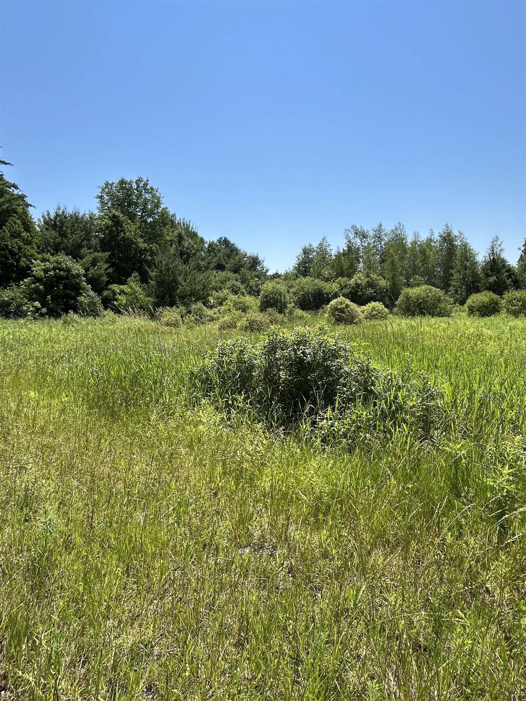 0 Truax Drive Property Photo 6