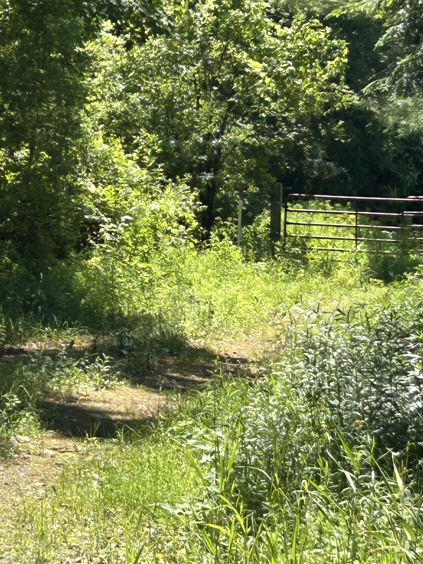 0 Truax Drive Property Photo 9