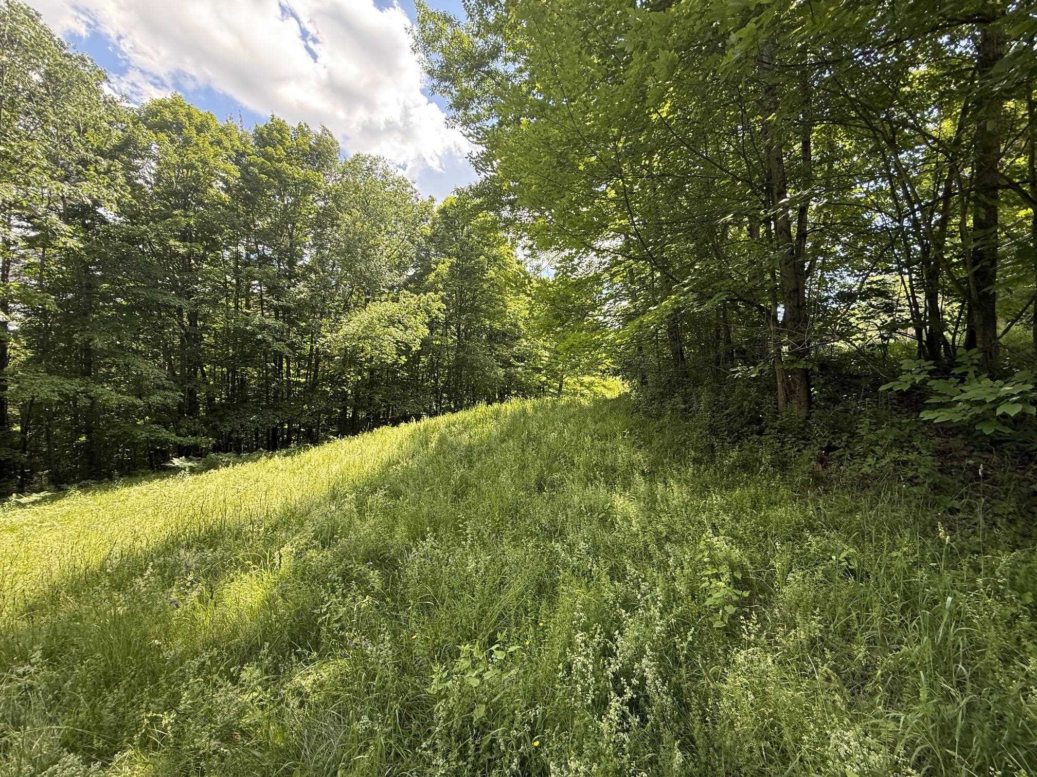 On Daniels Farm Road Property Photo 4