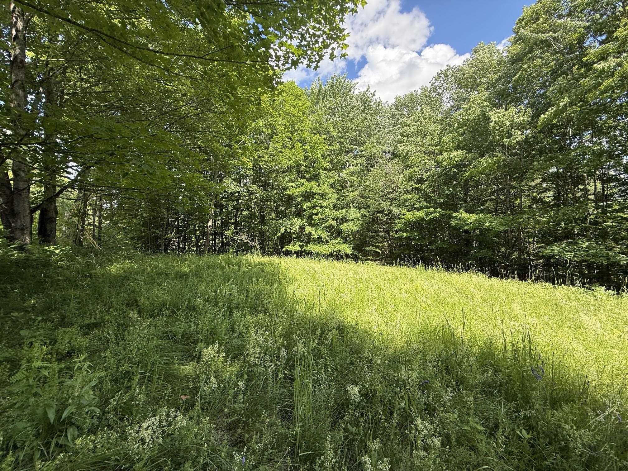 On Daniels Farm Road Property Photo 5