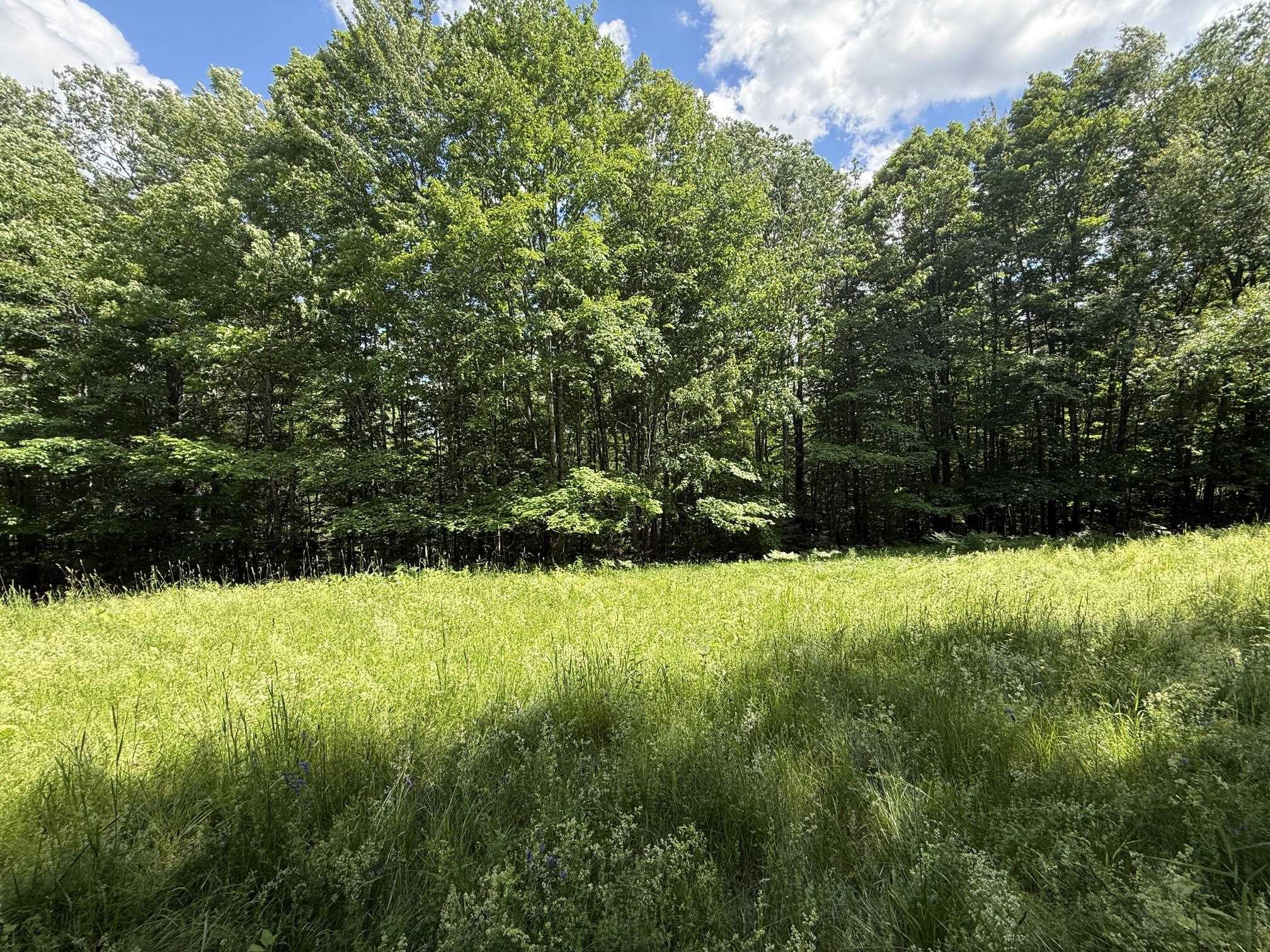 On Daniels Farm Road Property Photo 6