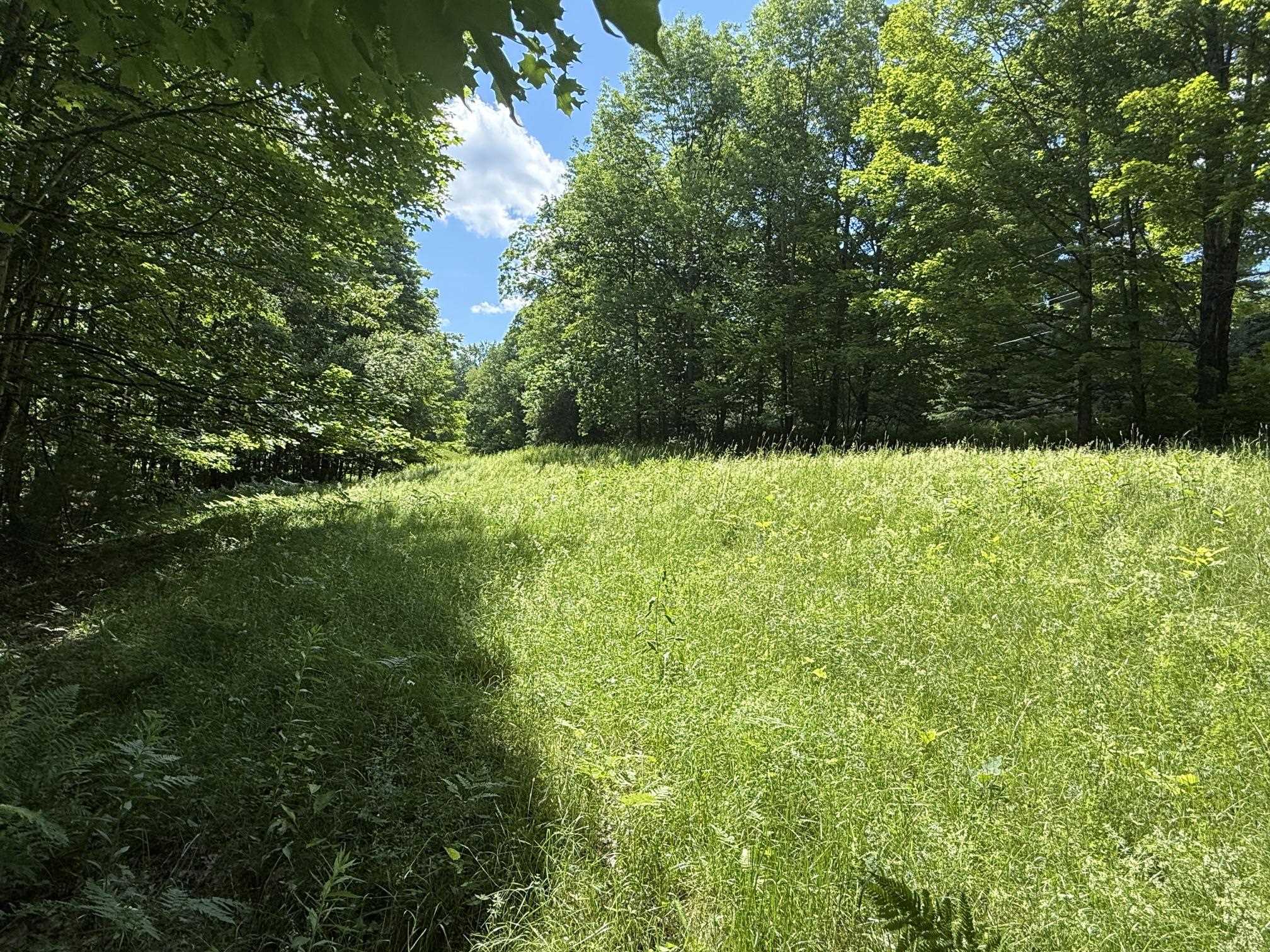 On Daniels Farm Road Property Photo 7