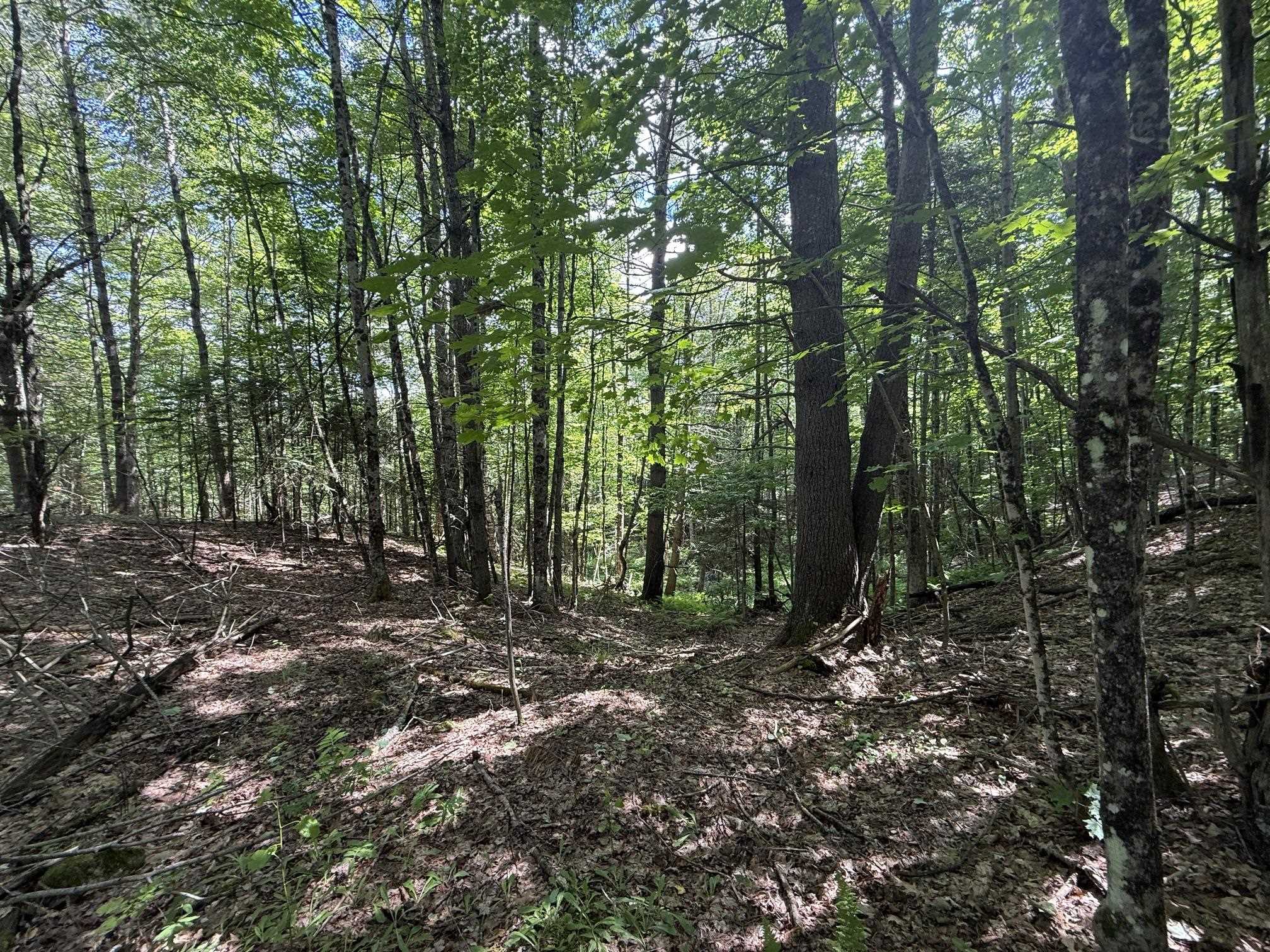 On Daniels Farm Road Property Photo 8