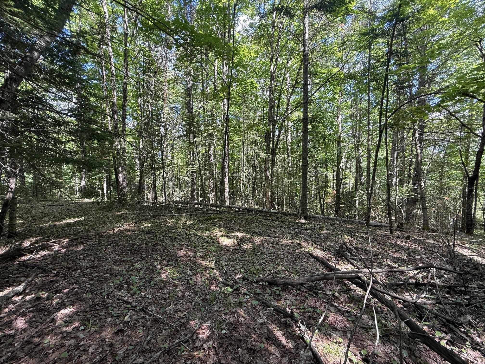 On Daniels Farm Road Property Photo 9