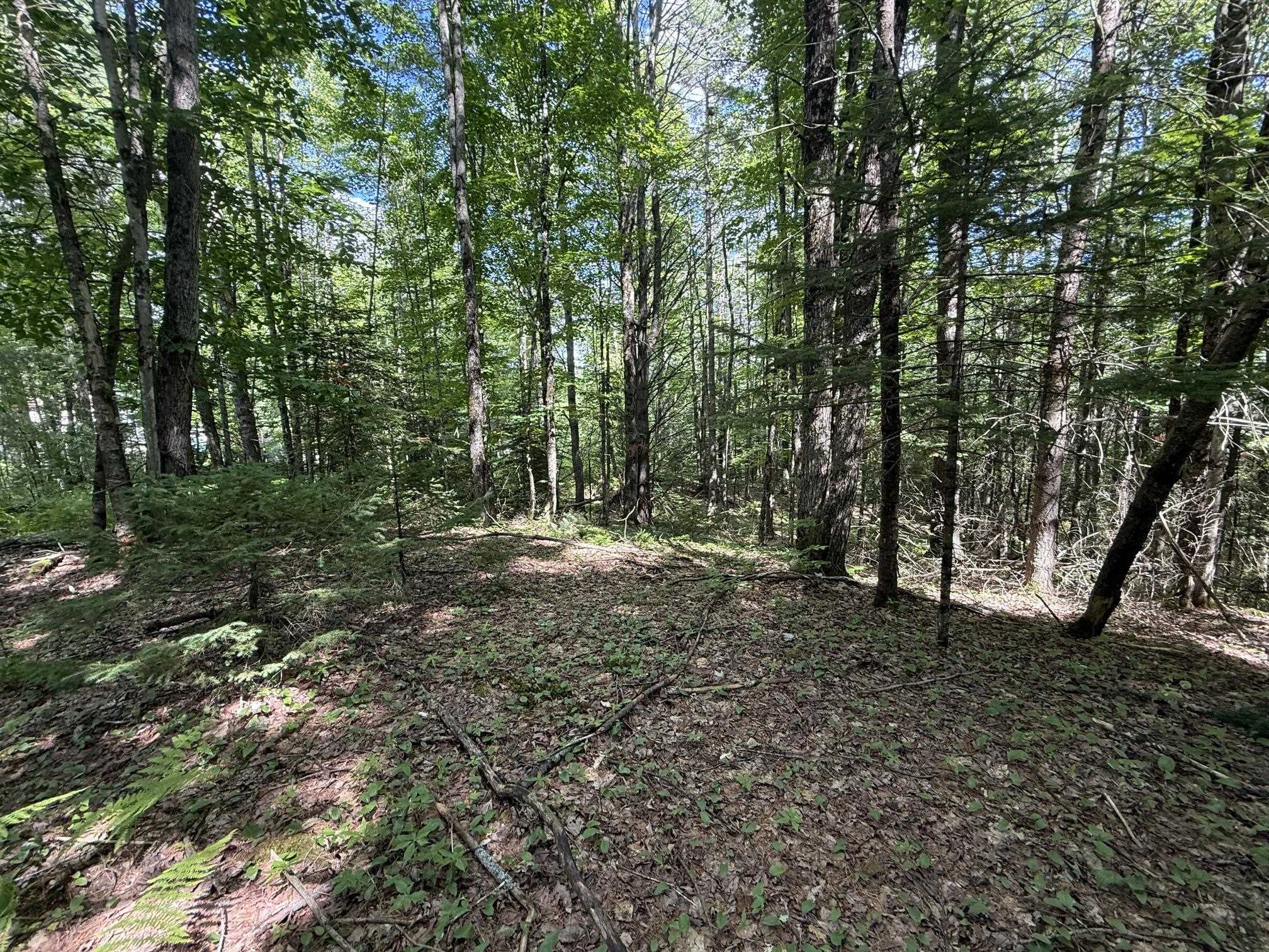 On Daniels Farm Road Property Photo 10