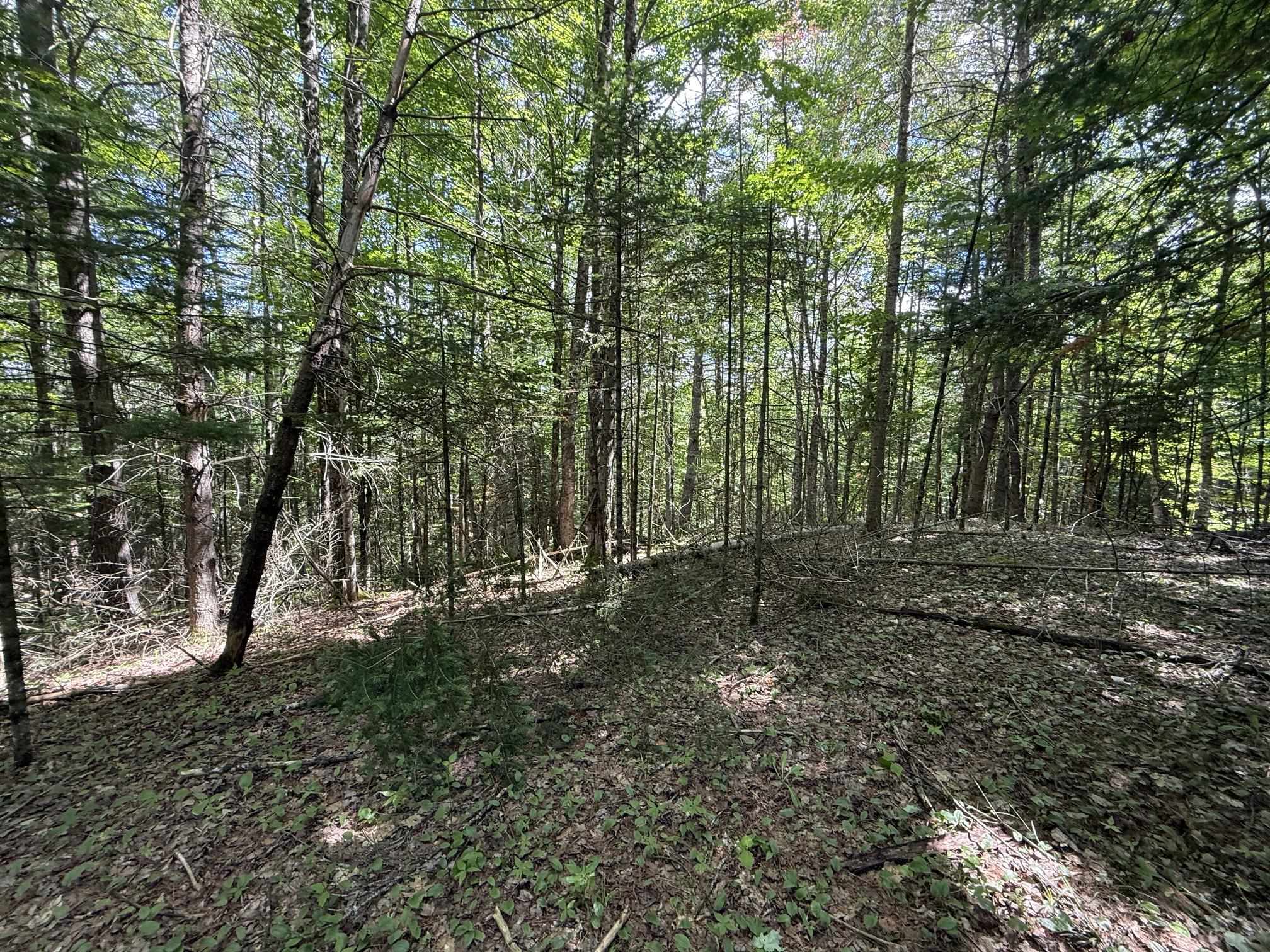 On Daniels Farm Road Property Photo 11