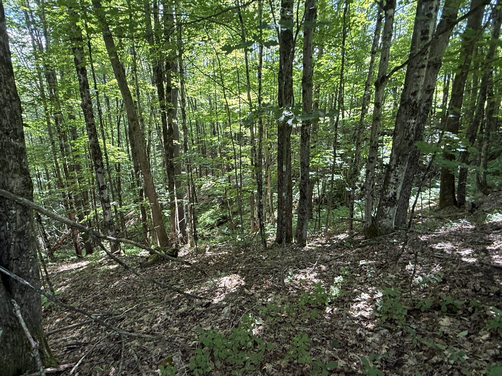On Daniels Farm Road Property Photo 12
