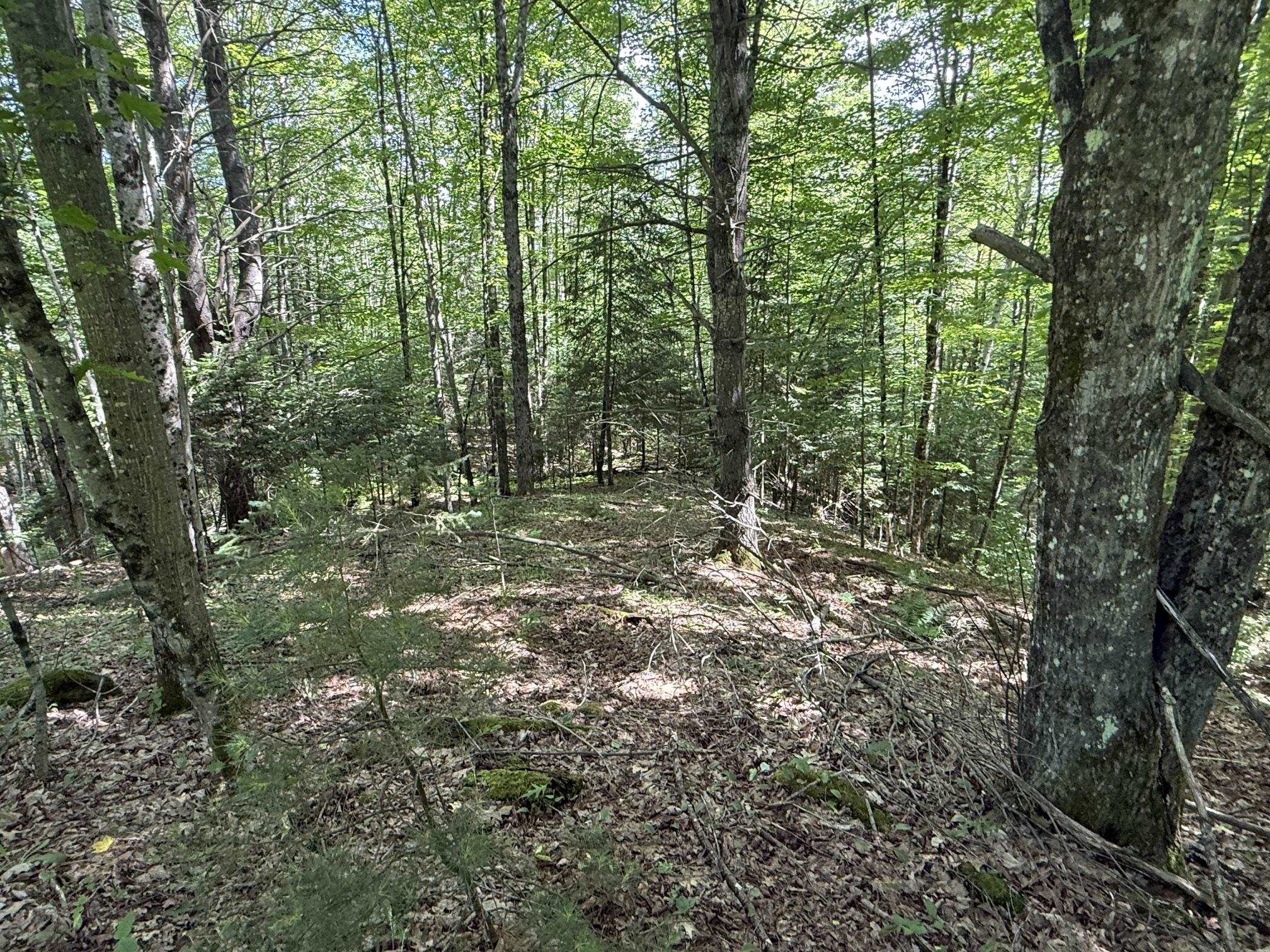 On Daniels Farm Road Property Photo 13