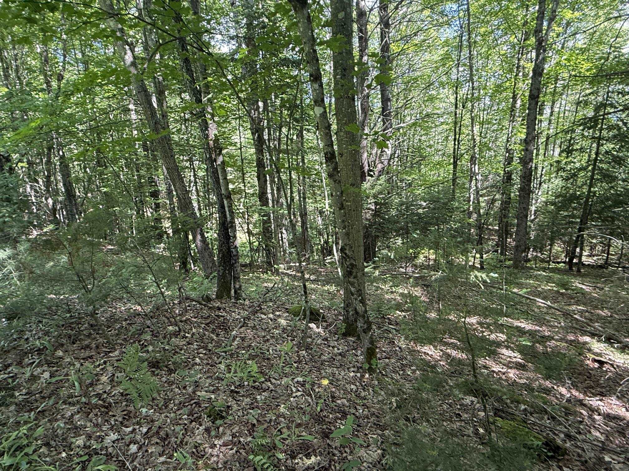 On Daniels Farm Road Property Photo 14