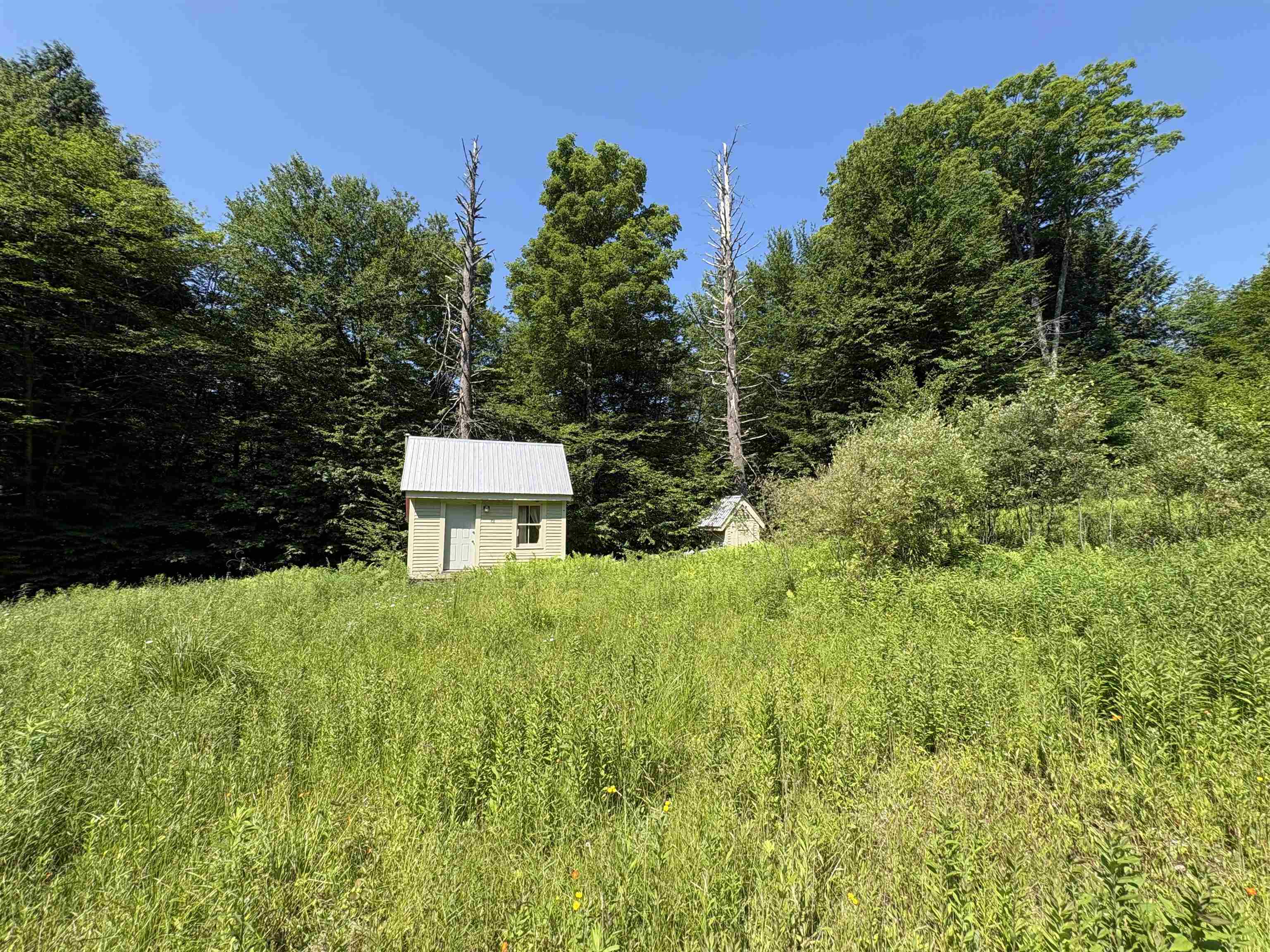 0 Hog Hollow Road Property Photo 1