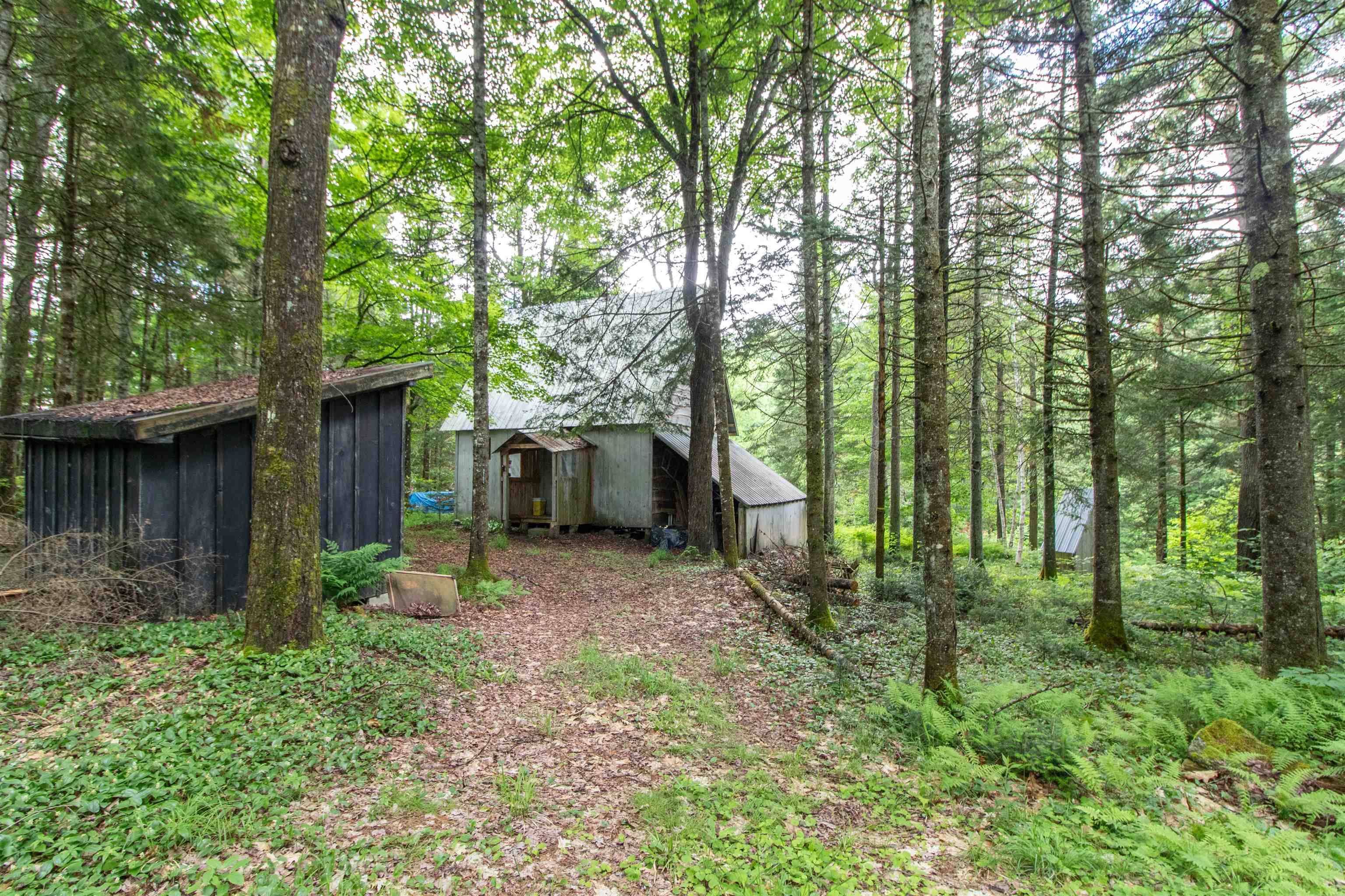 905 Gideons Mill Road Property Photo 18