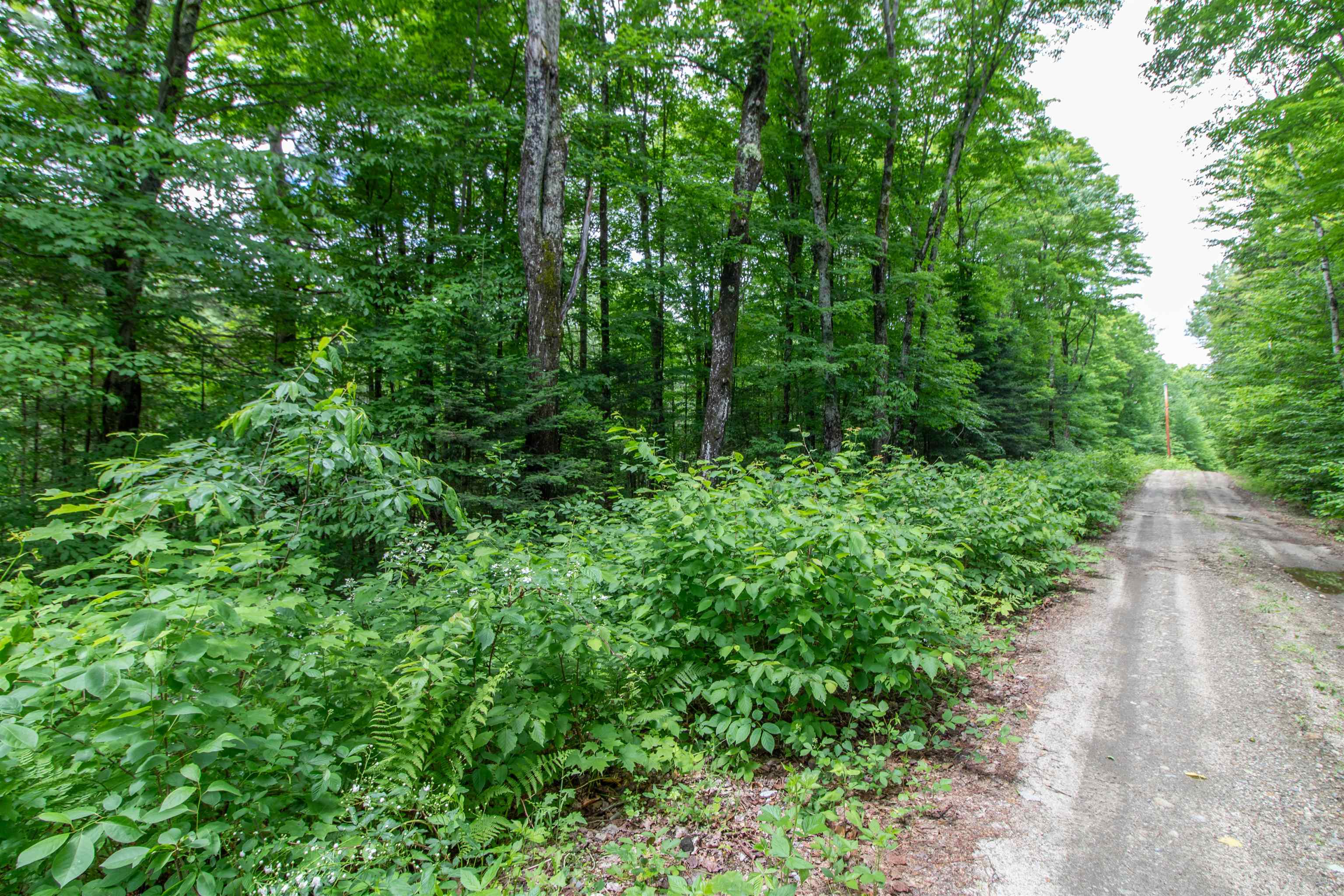 905 Gideons Mill Road Property Photo 19