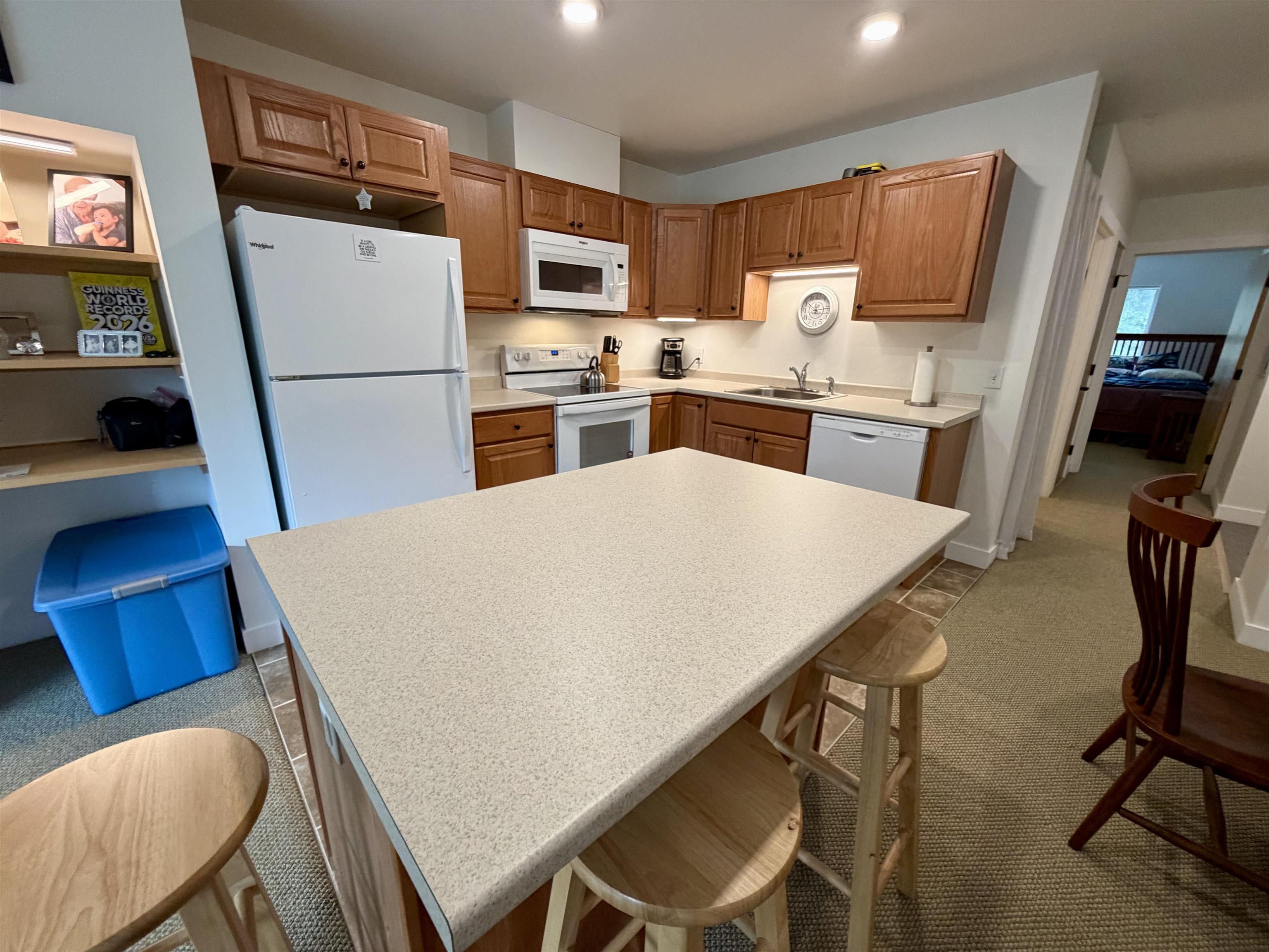 251 Mountainside Drive Property Photo 11
