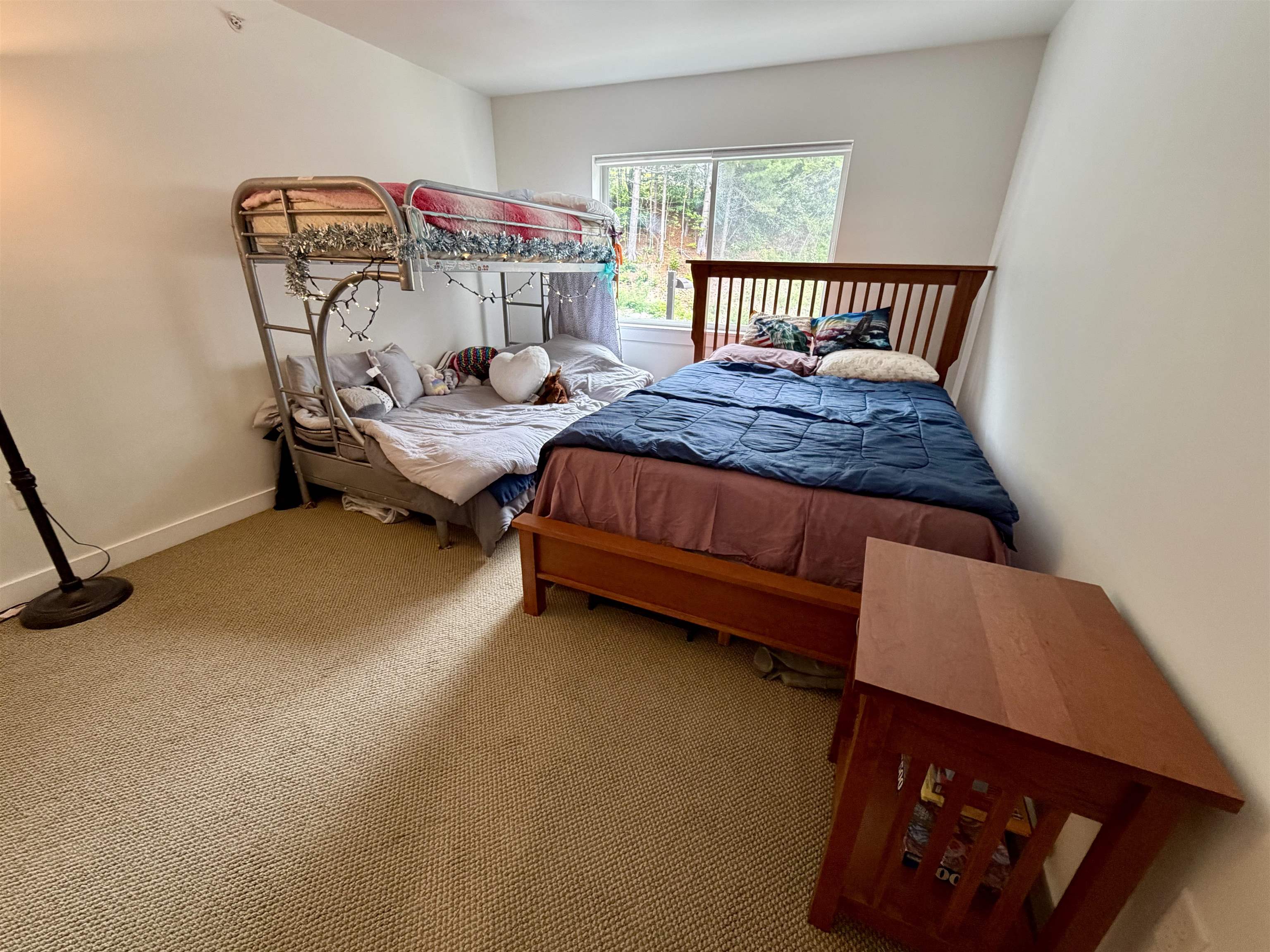 251 Mountainside Drive Property Photo 25