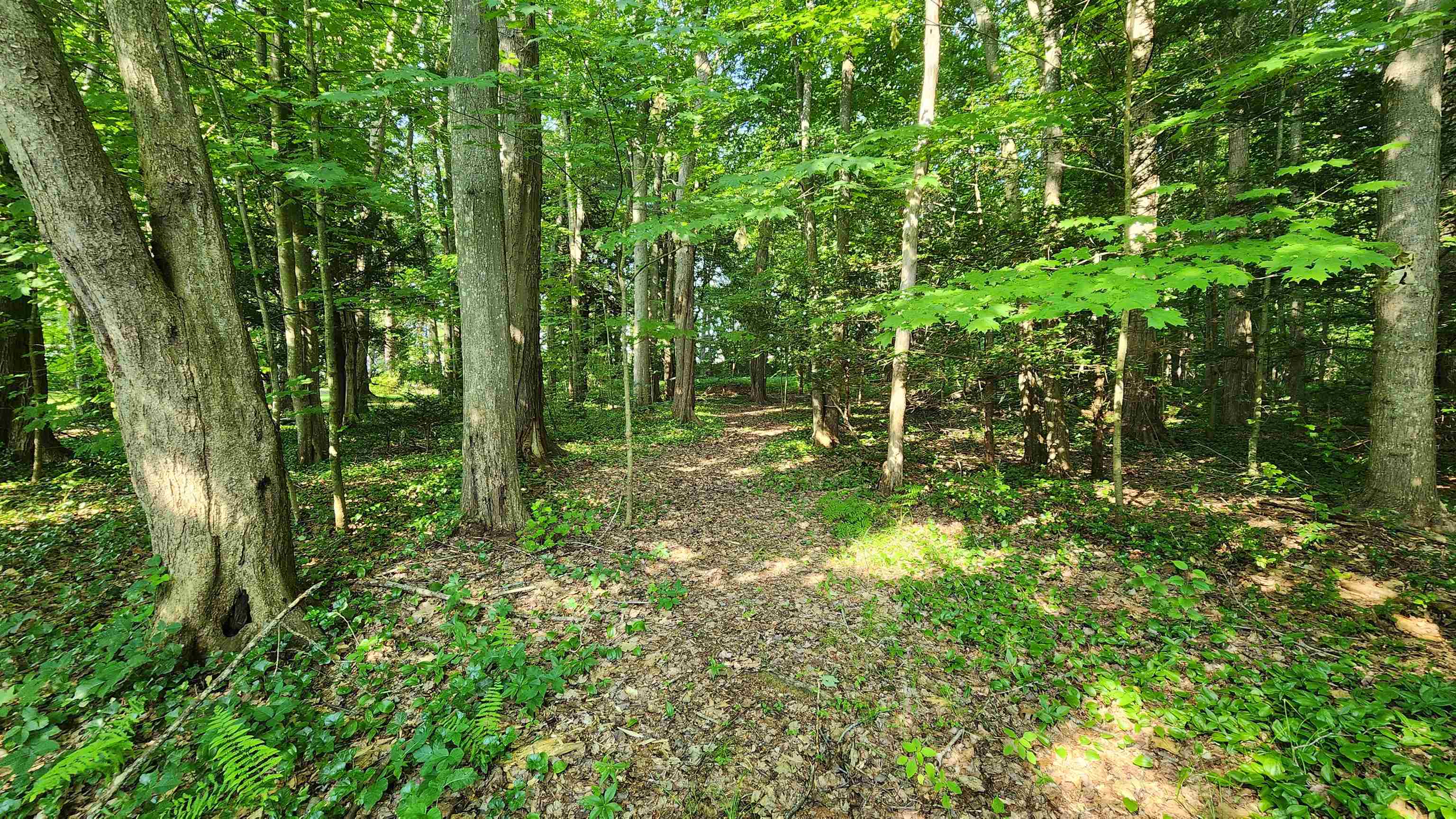 Towle Avenue Property Photo 4