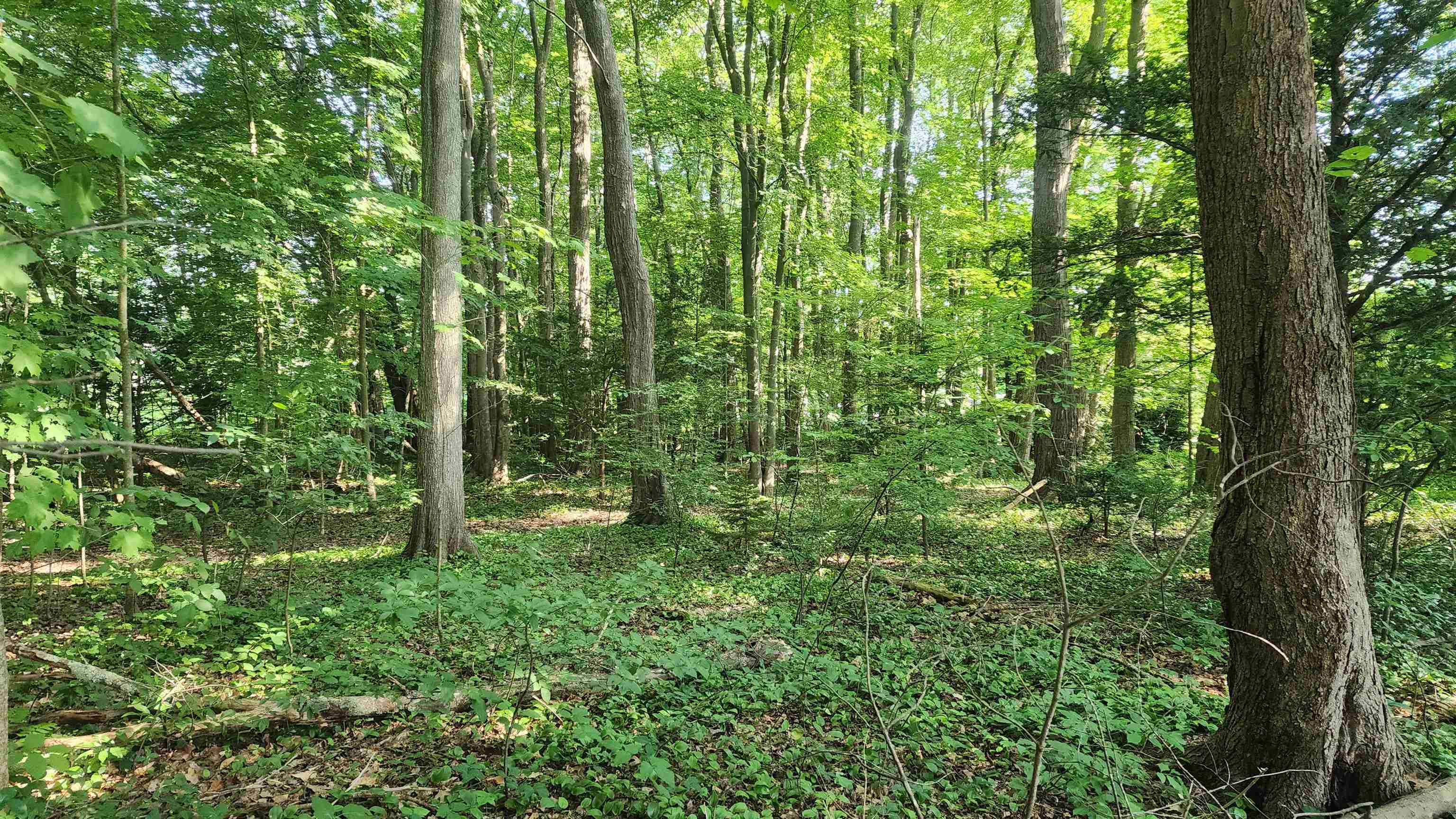 Towle Avenue Property Photo 5