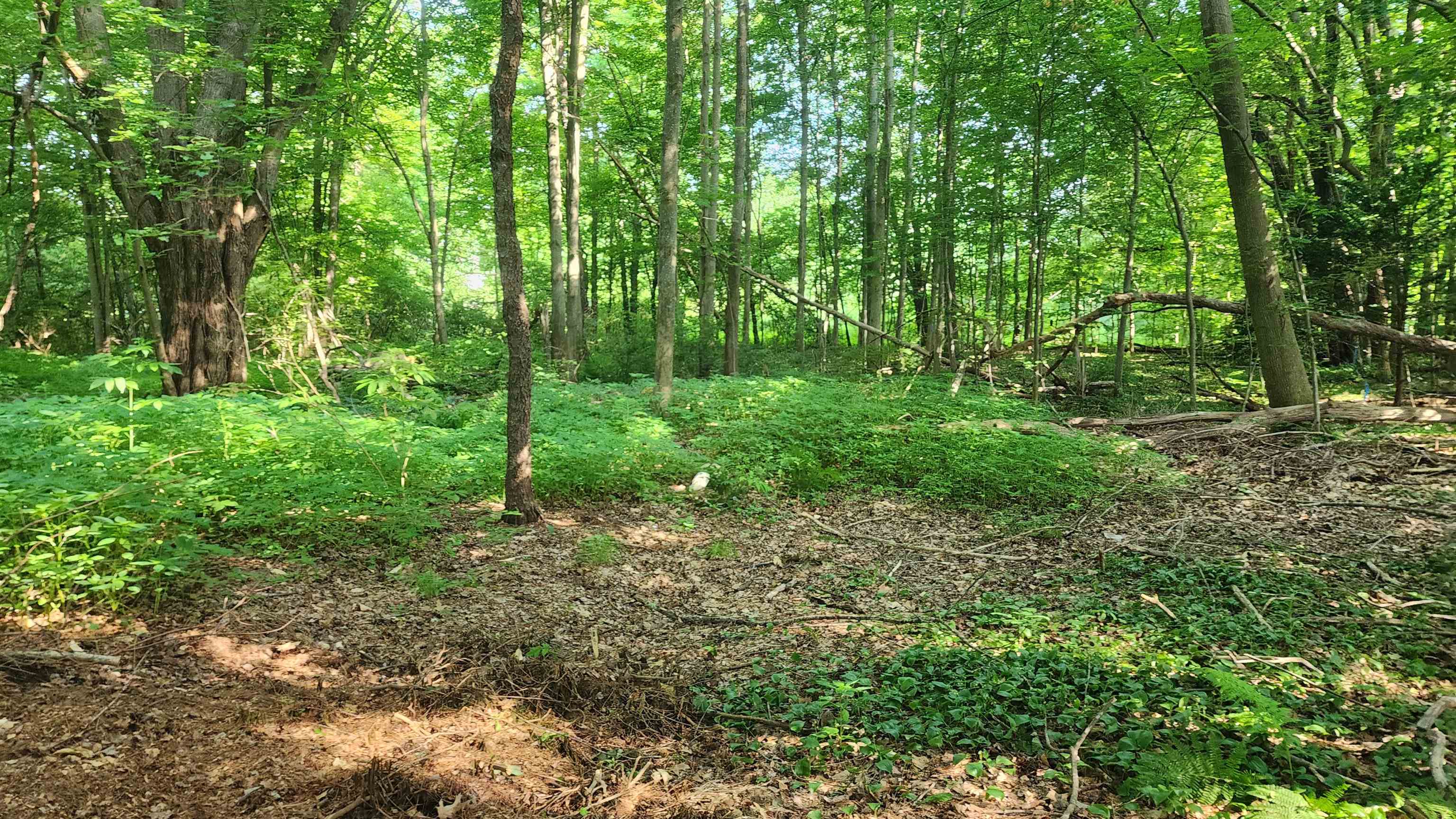 Towle Avenue Property Photo 8