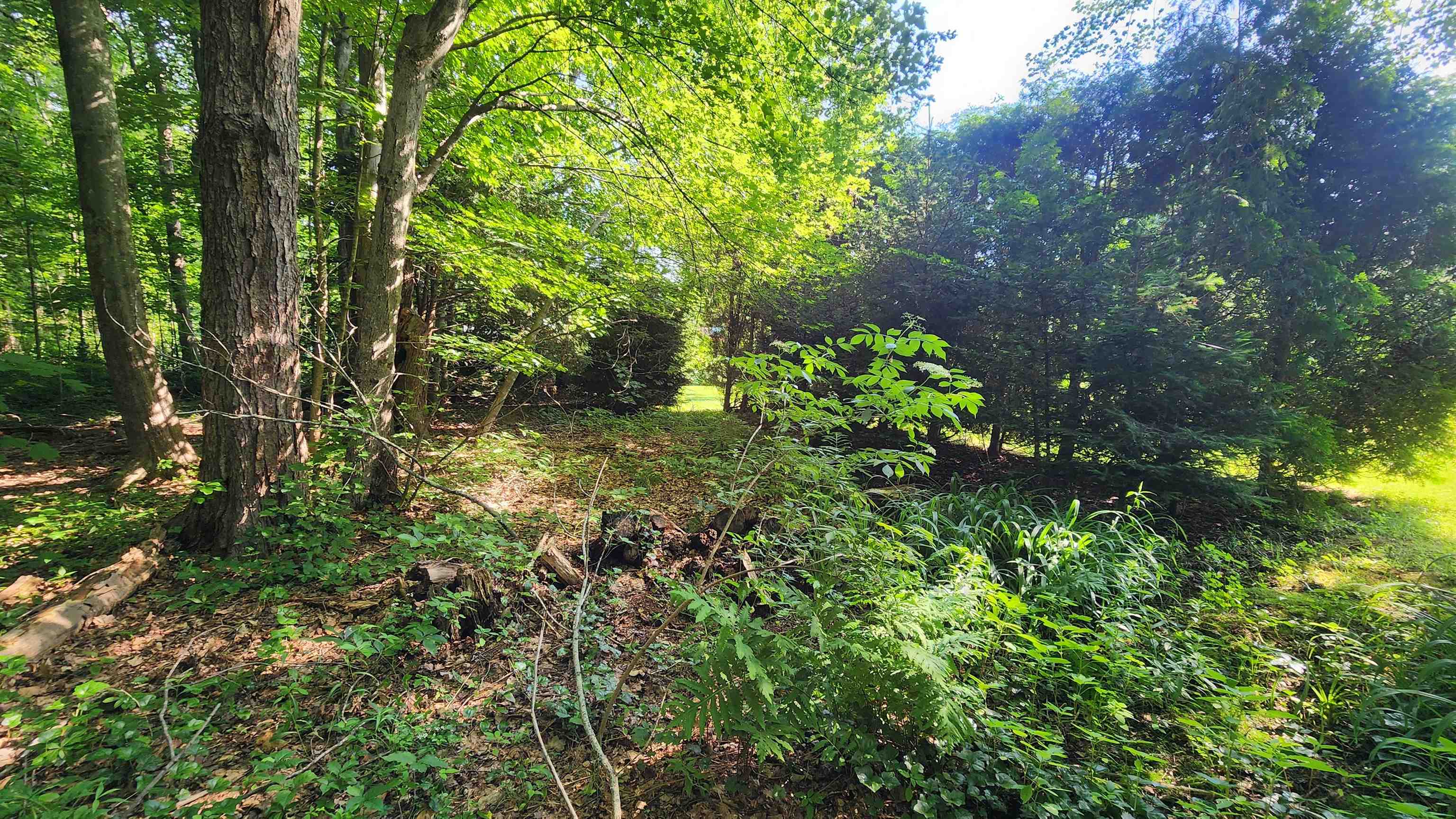 Towle Avenue Property Photo 10