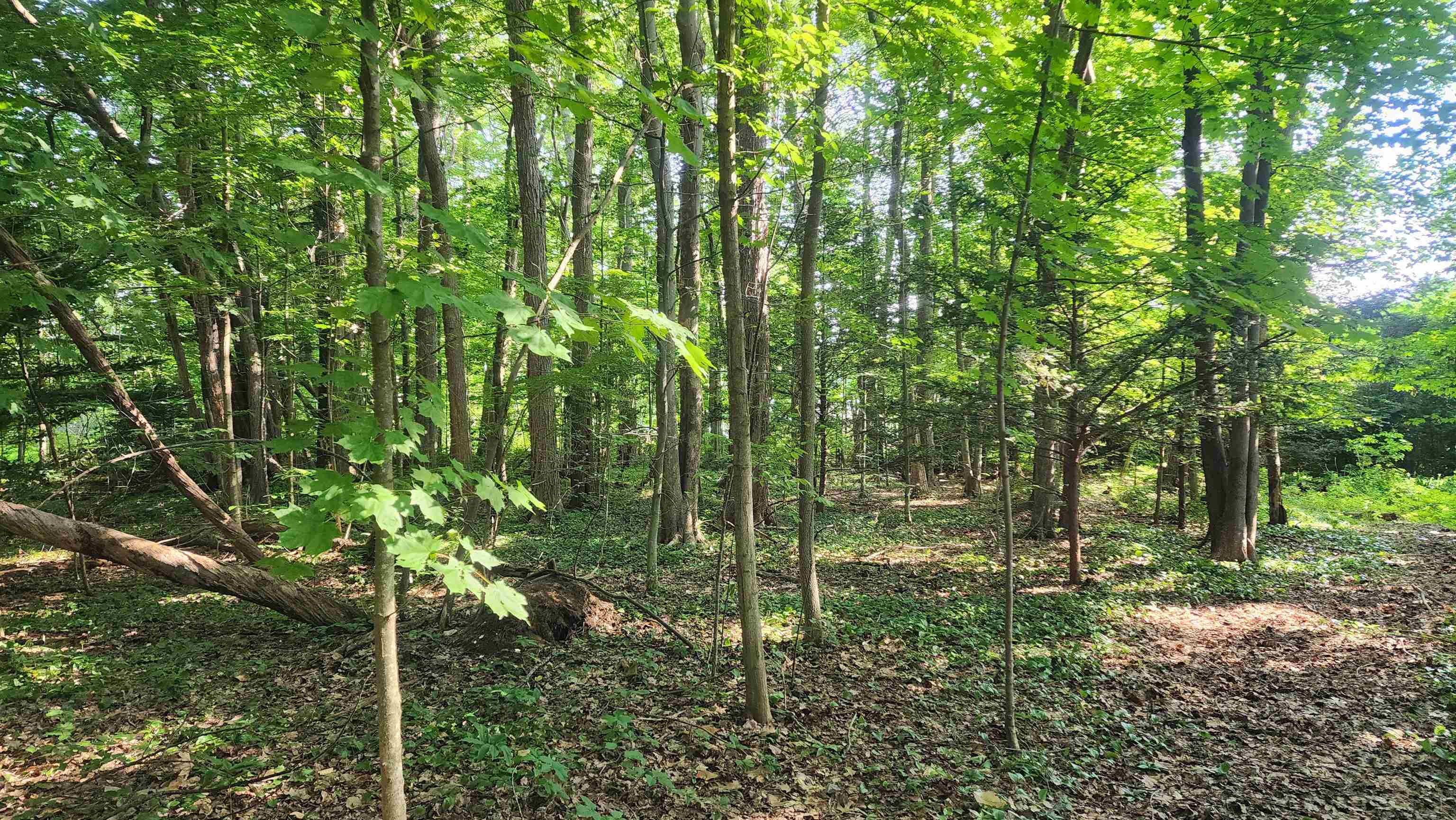 Towle Avenue Property Photo 11