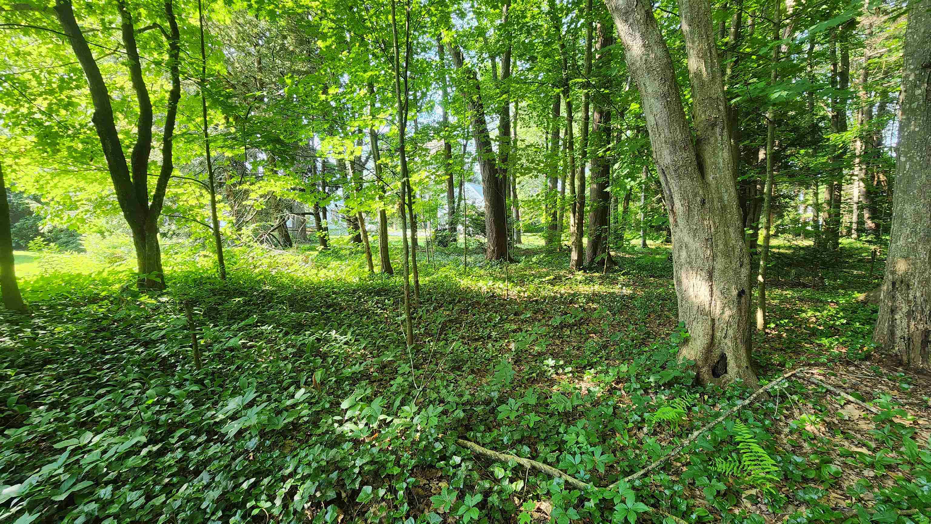 Towle Avenue Property Photo 12