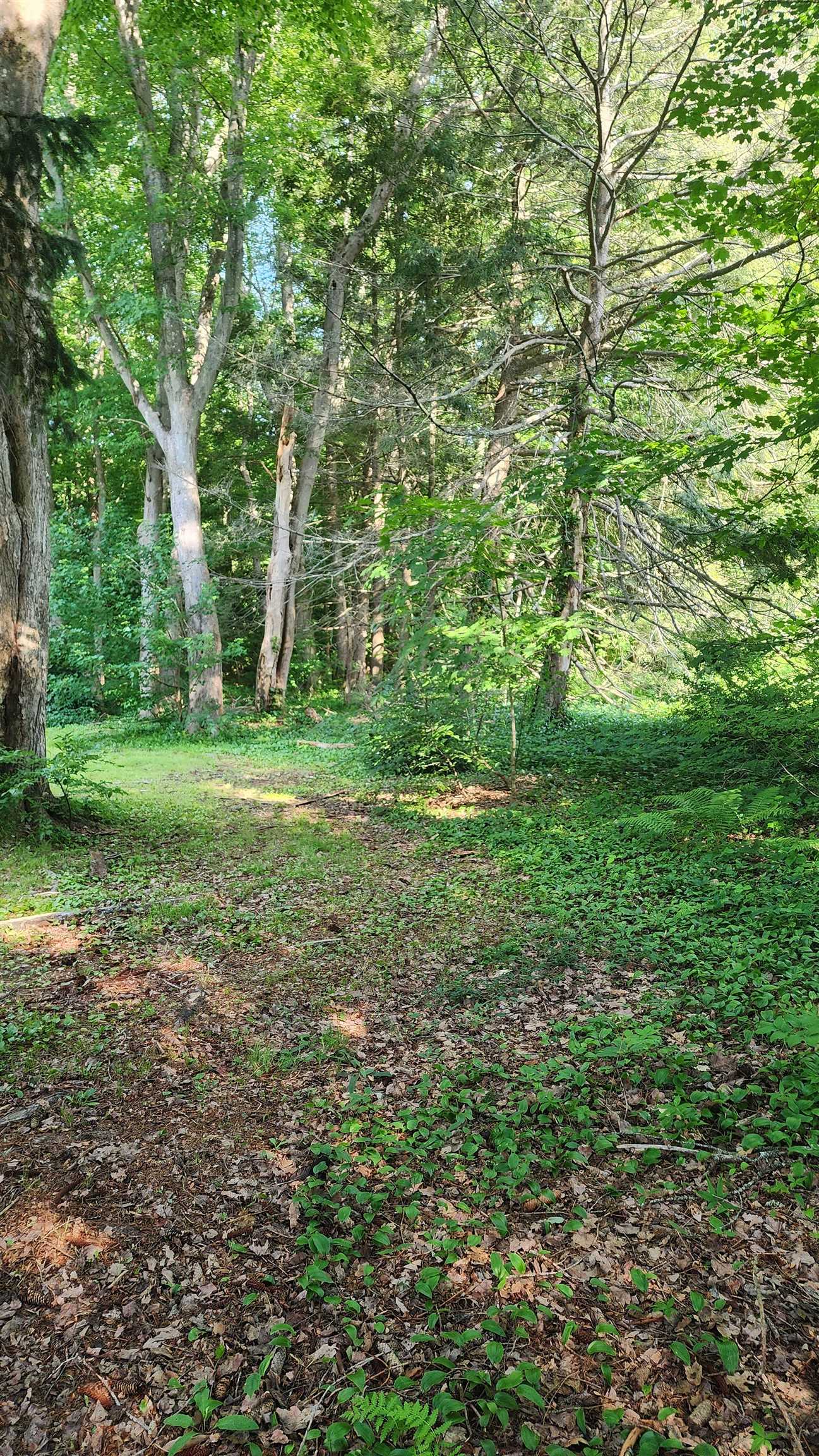 Towle Avenue Property Photo 13