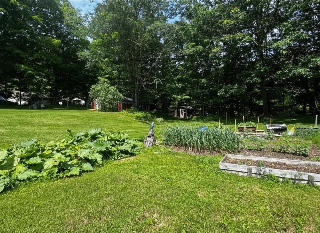 2875 East Street Property Photo 28