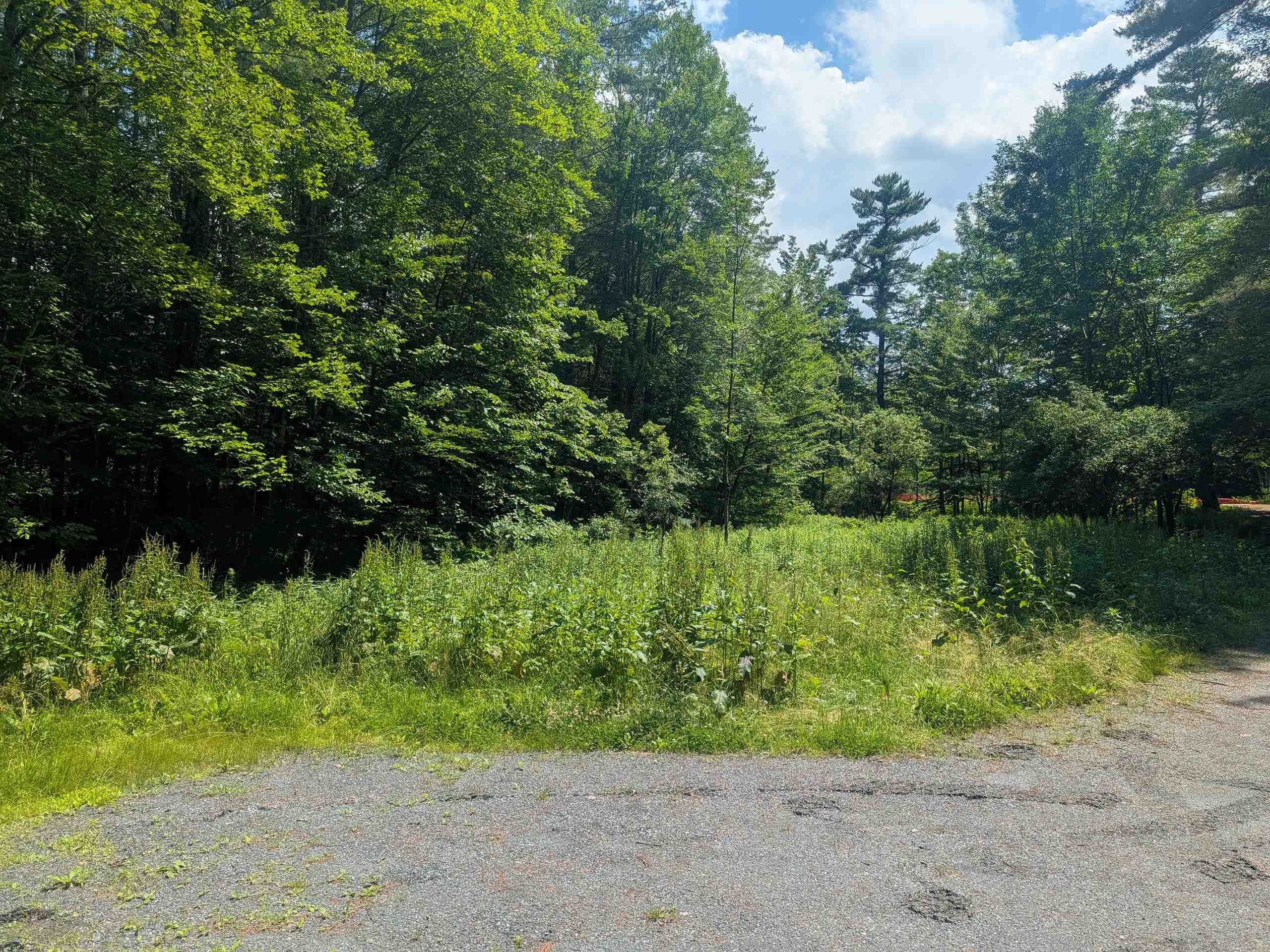 318 Britton Road Property Photo 17