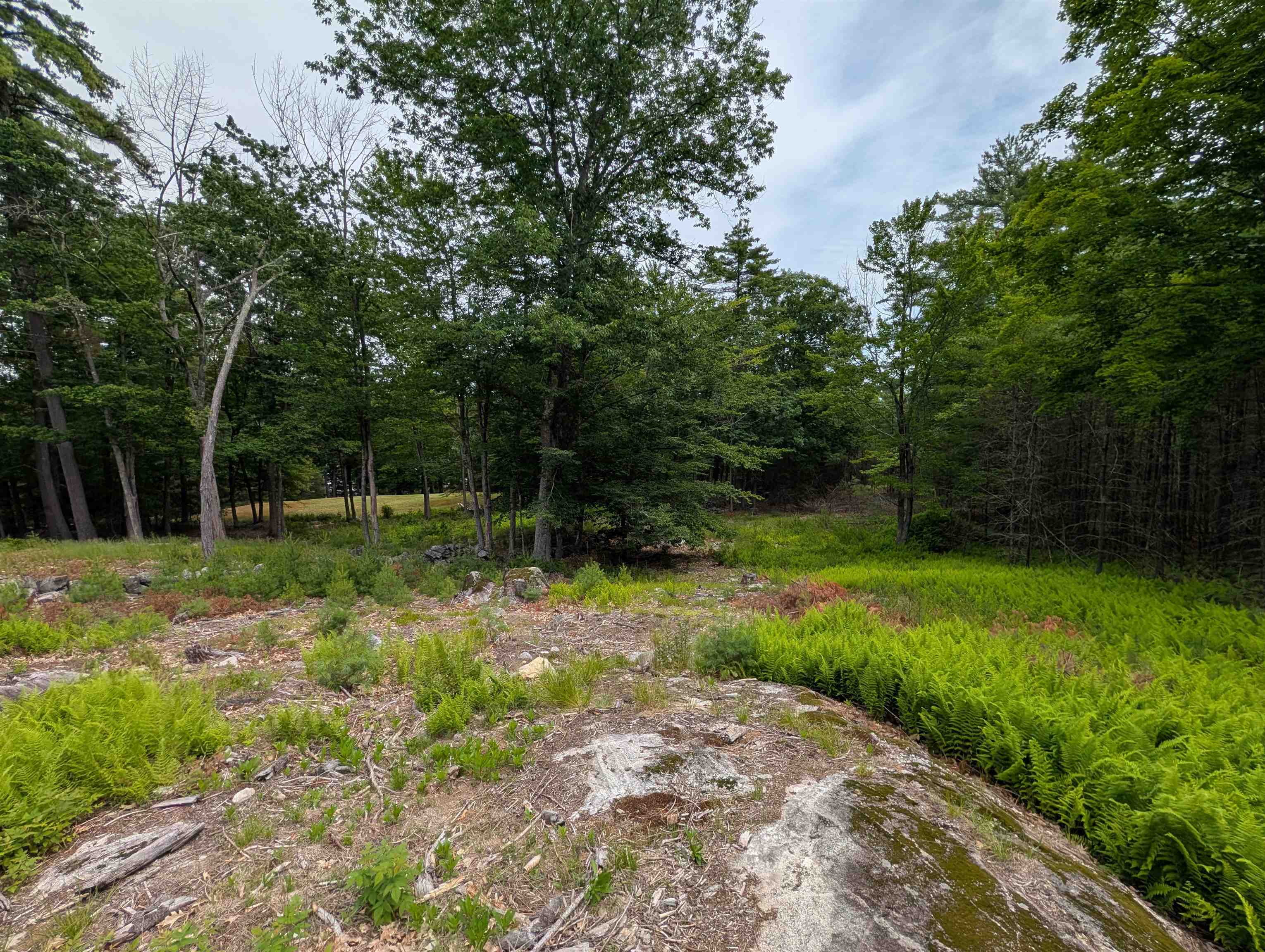 70 High Ridge Road Property Photo 10