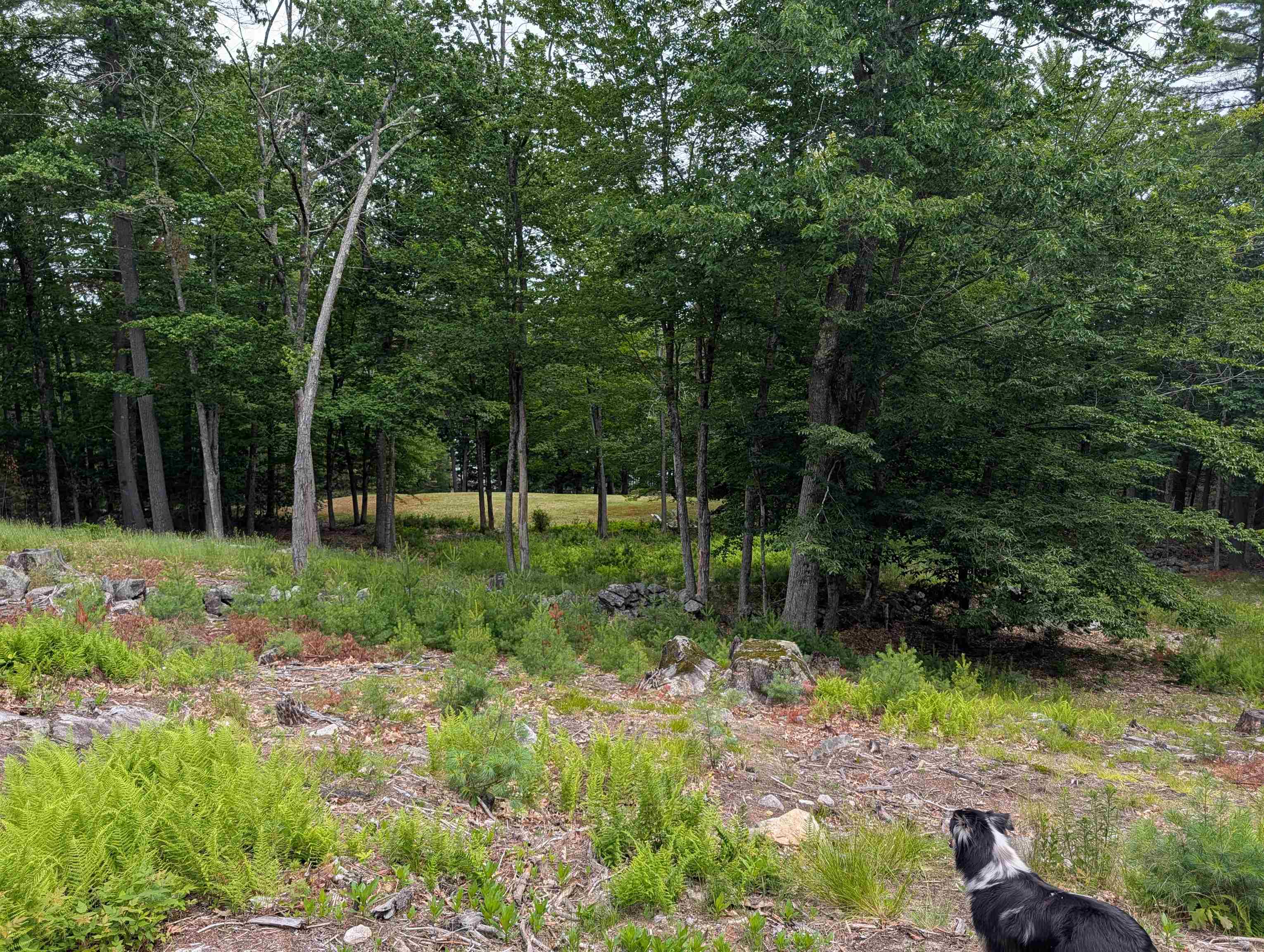 70 High Ridge Road Property Photo 14