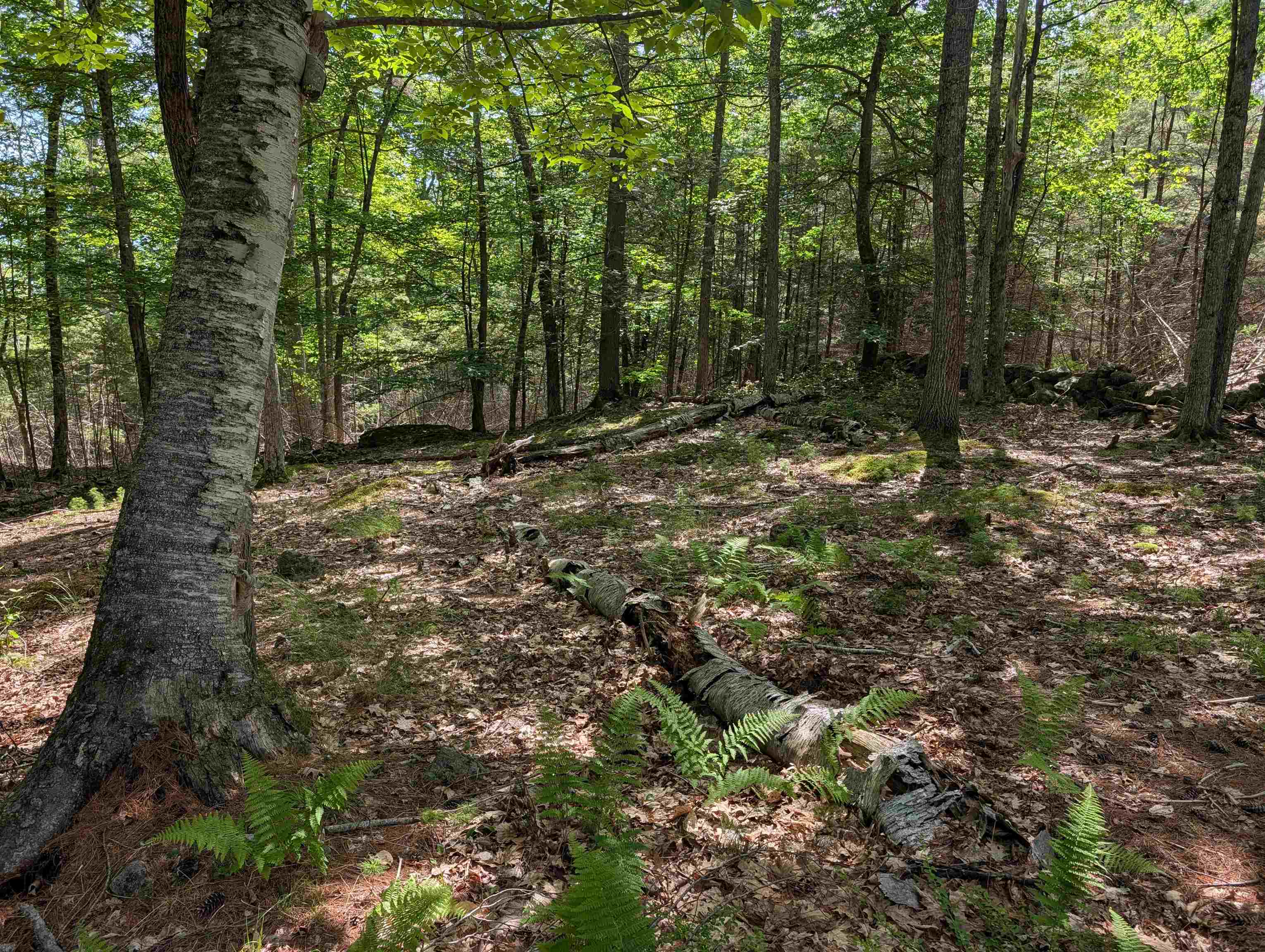 70 High Ridge Road Property Photo 20