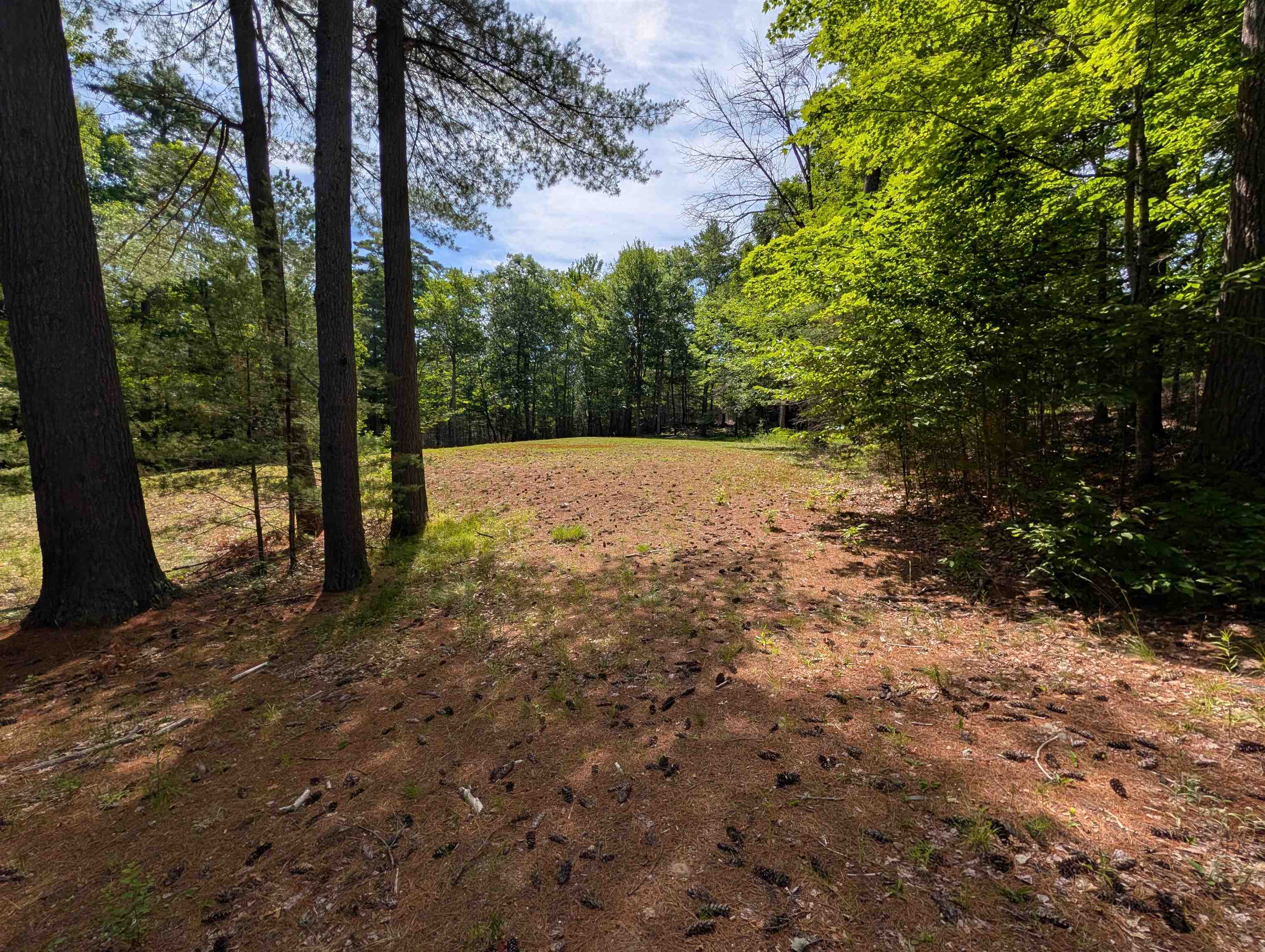 70 High Ridge Road Property Photo 22