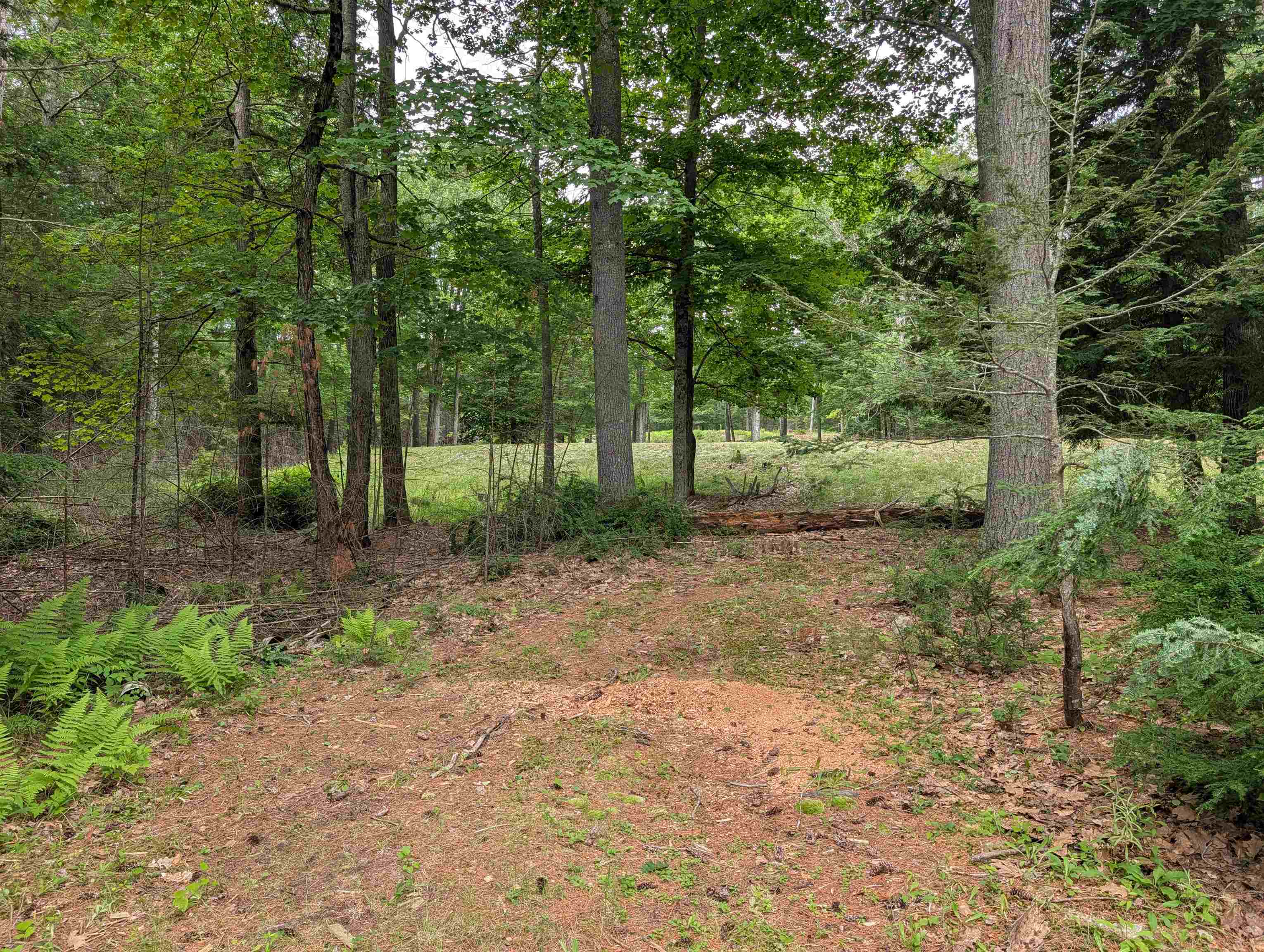 70 High Ridge Road Property Photo 25