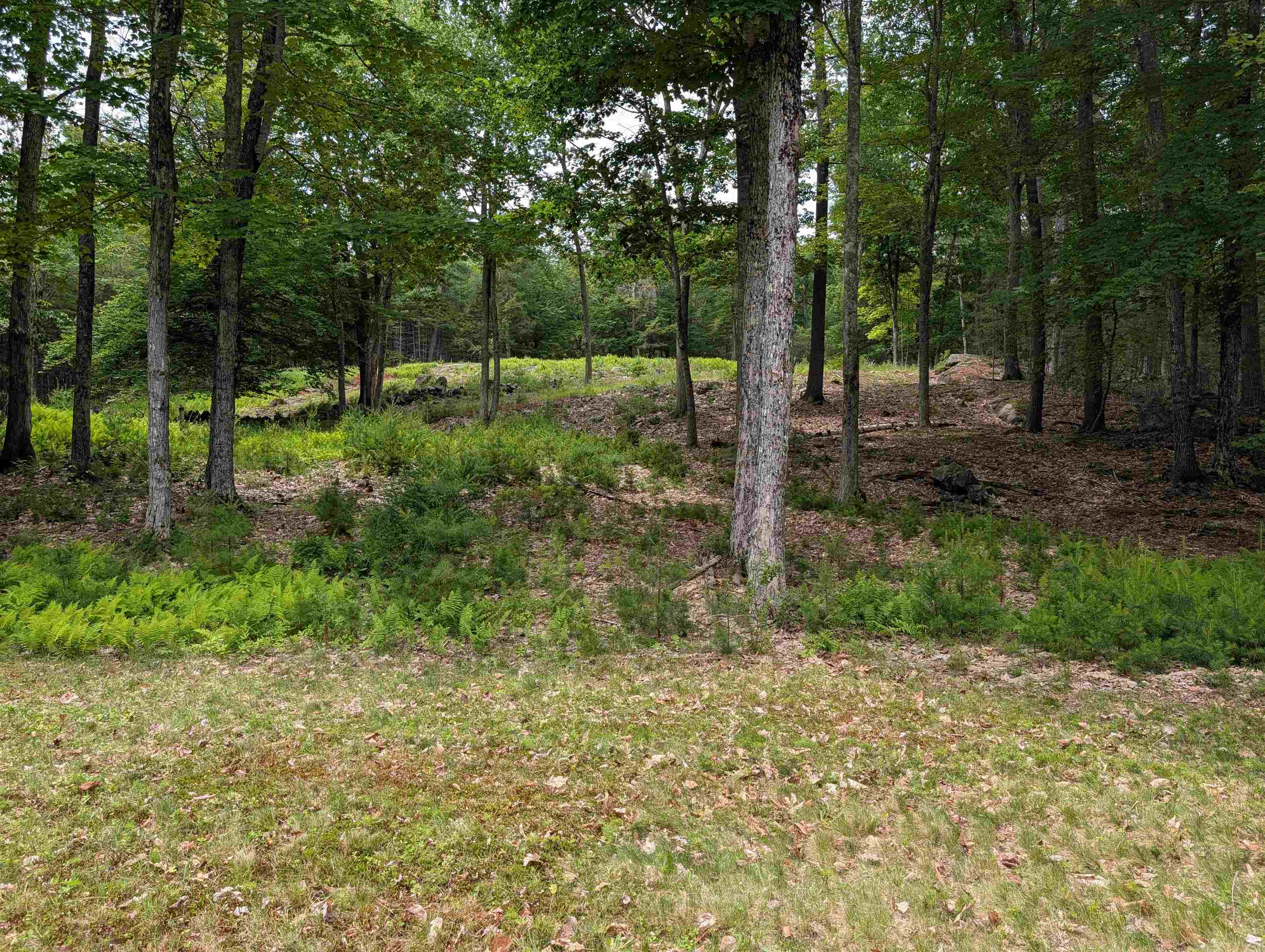 70 High Ridge Road Property Photo 31